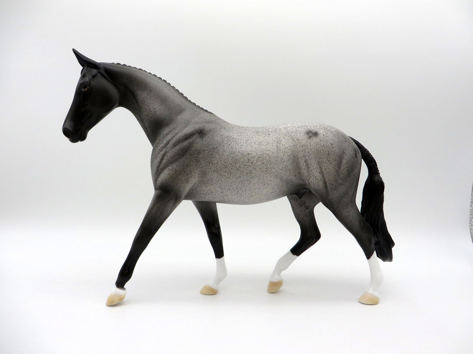 Westwind-OOAK Blue Roan Pony SHCF 2021