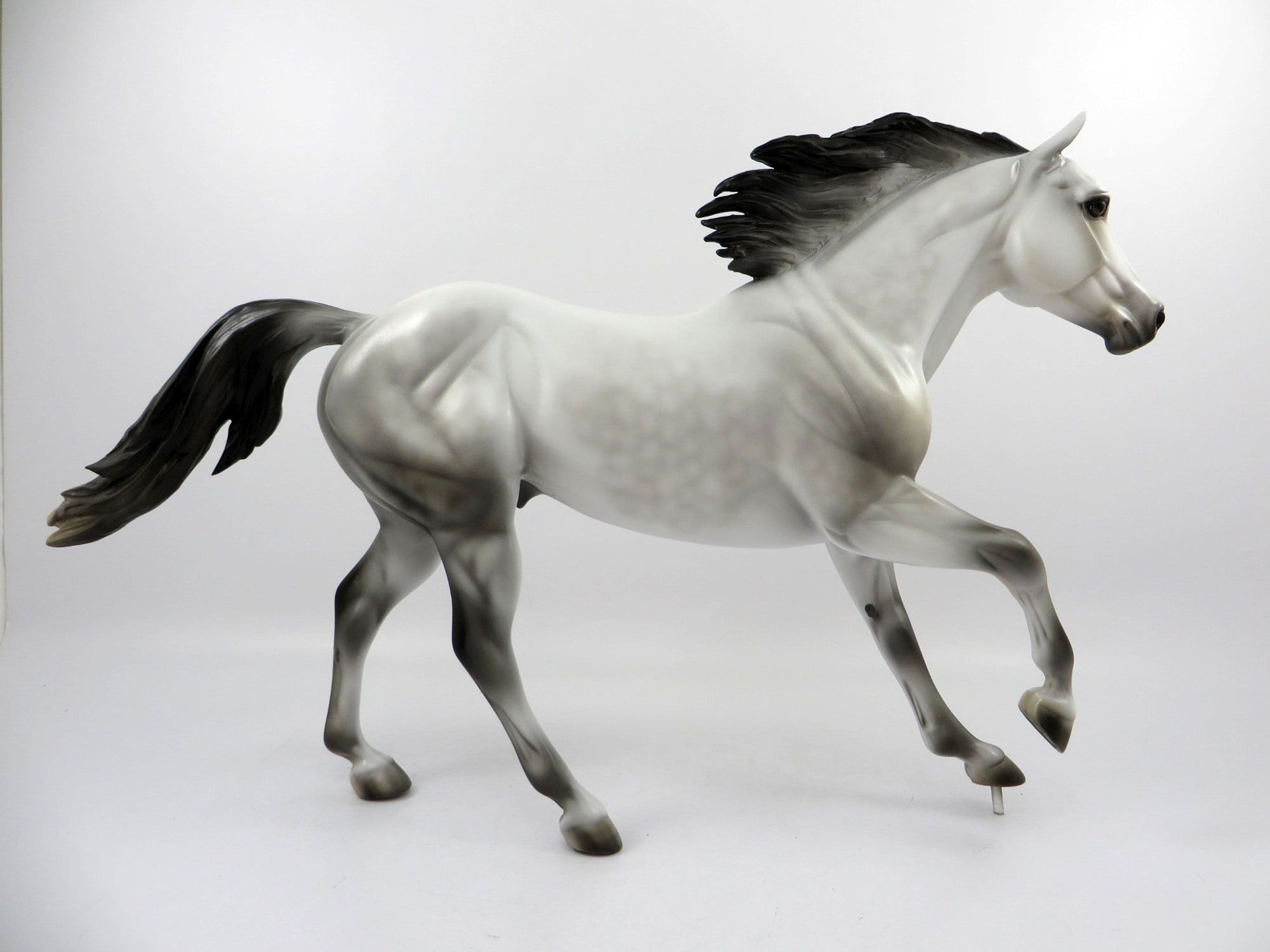Wet Bar-LE-15 Dapple Grey Foundation Quarter Horse Painted By Julie Keim 3/12/21
