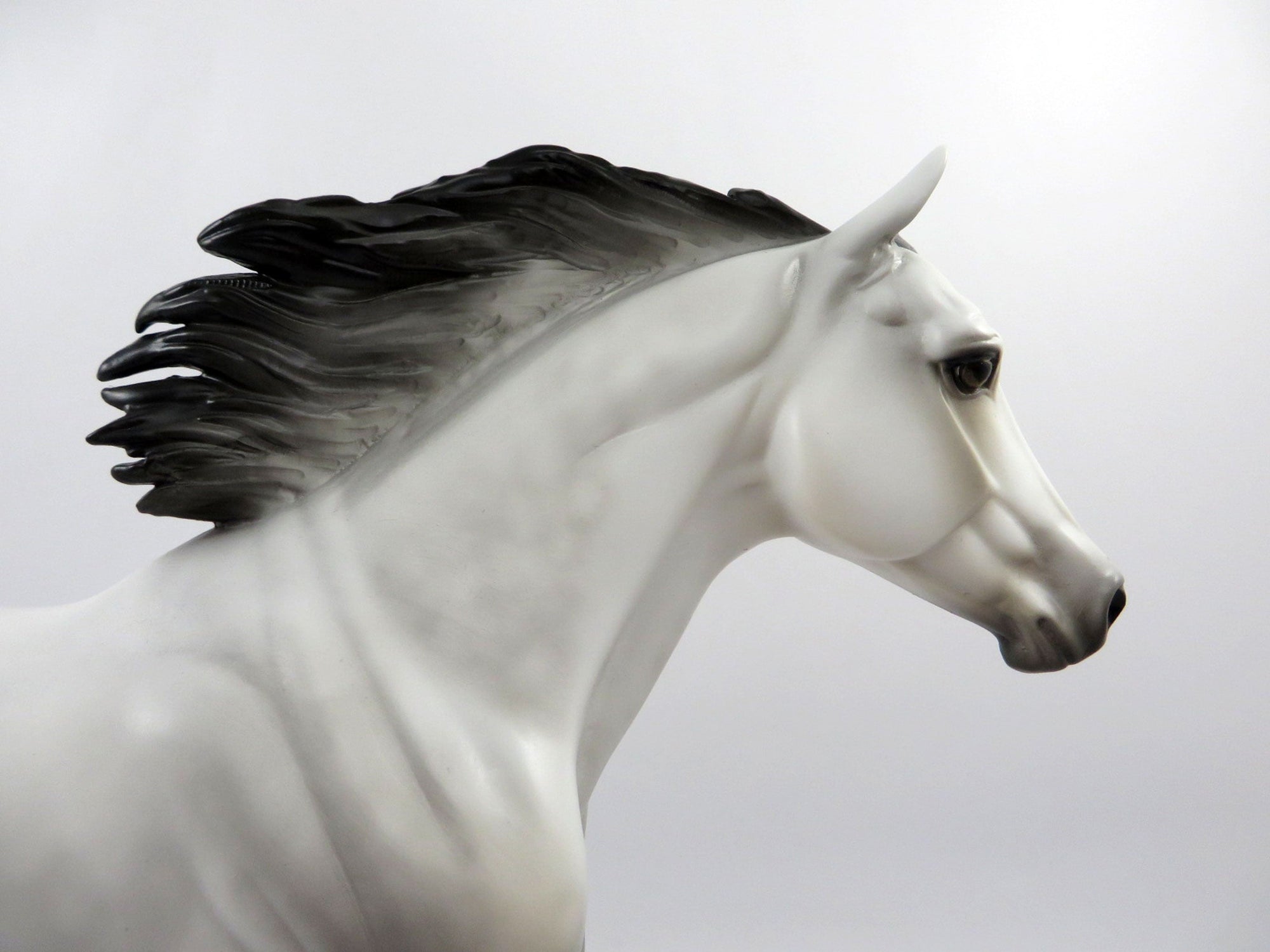 Wet Bar-LE-15 Dapple Grey Foundation Quarter Horse Painted By Julie Keim 3/12/21