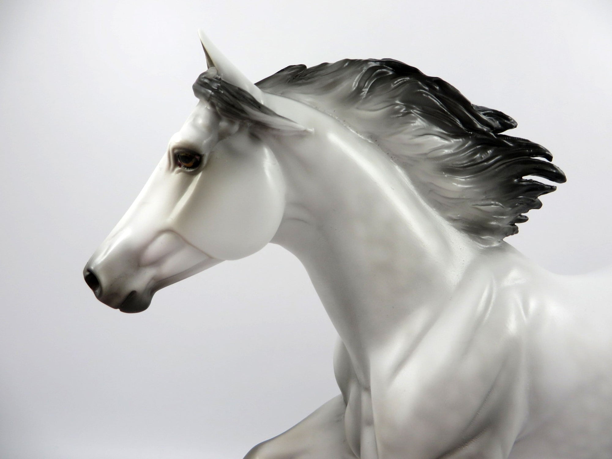 Wet Bar-LE-15 Dapple Grey Foundation Quarter Horse Painted By Julie Keim 3/12/21