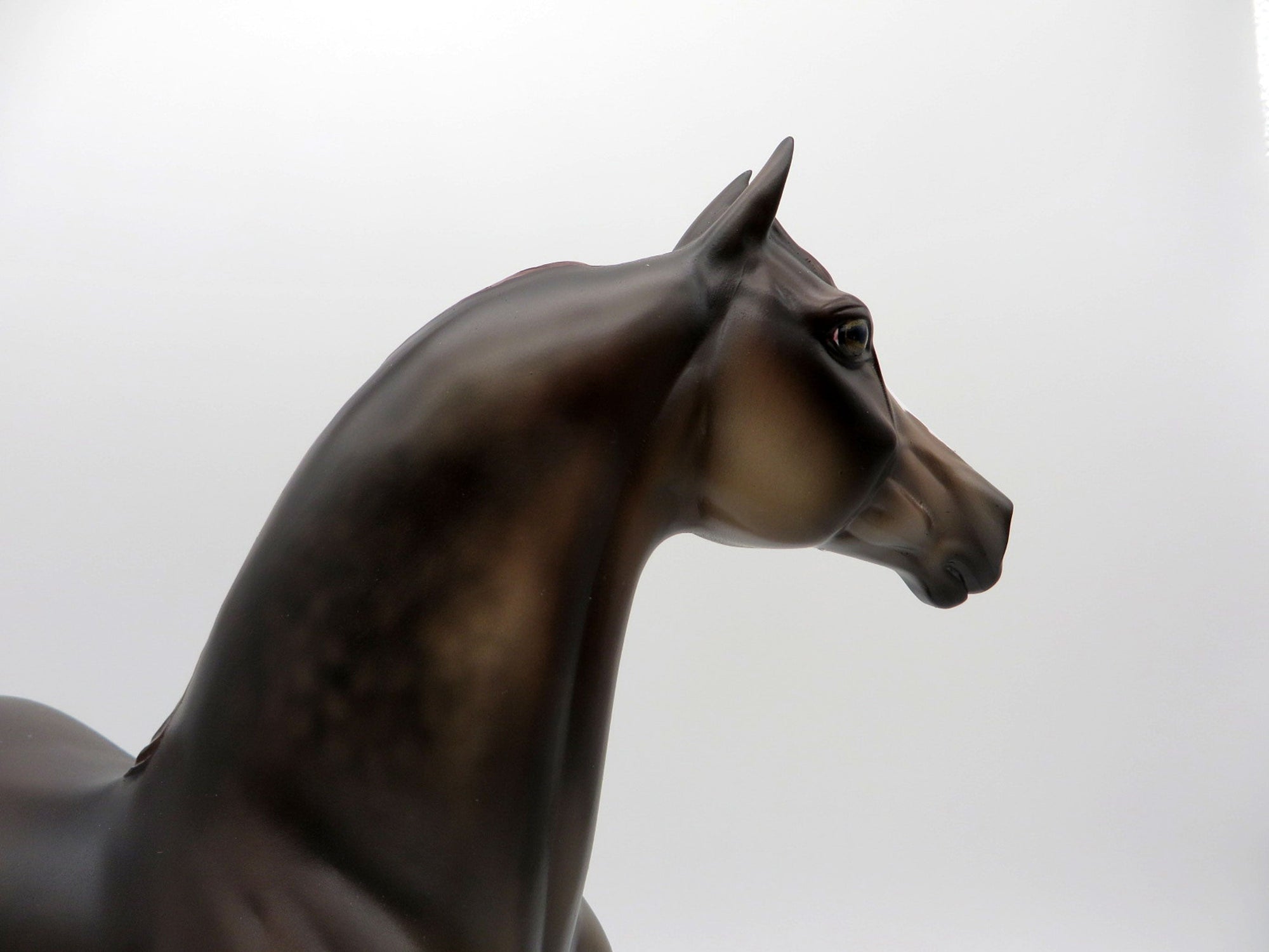 Wilde- OOAK Dapple Chestnut Morgan Painted By Julie Keim EQ 21