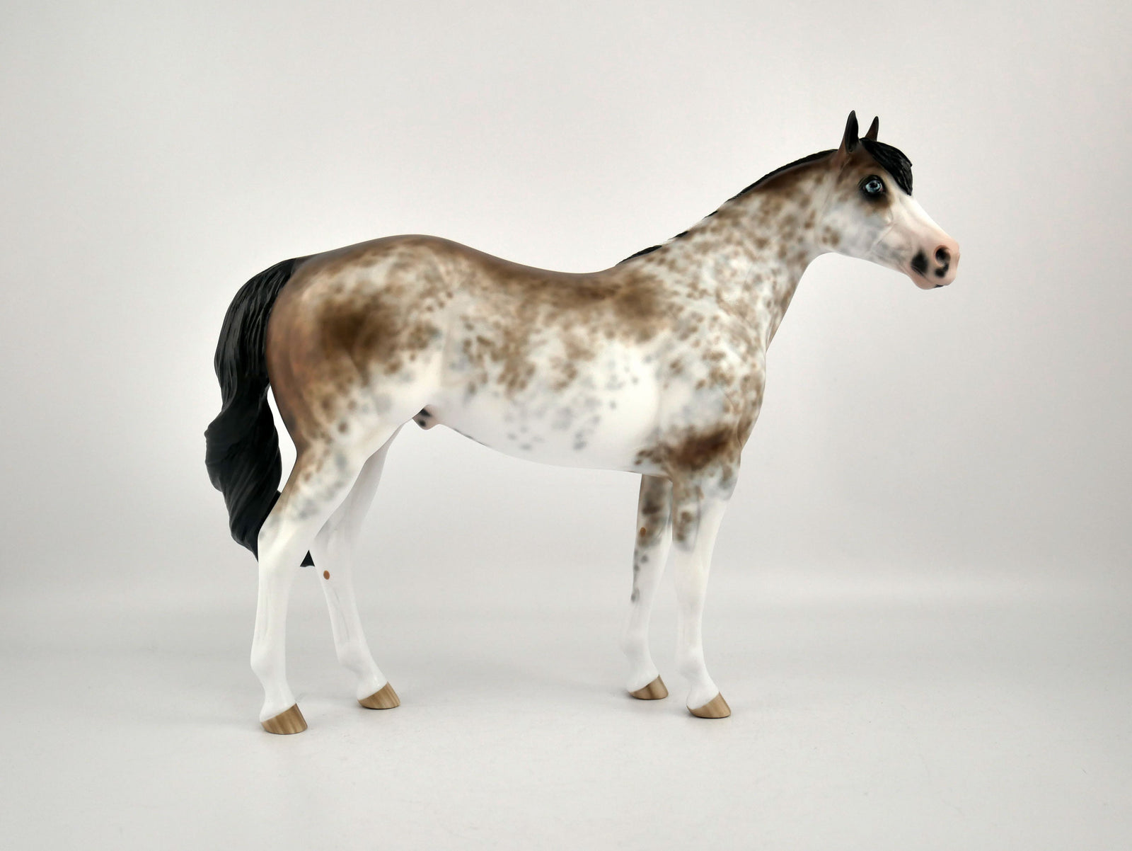 WILLEM-OOAK BAY SABINO ISH BY SHERYL LEISURE 12/03/20