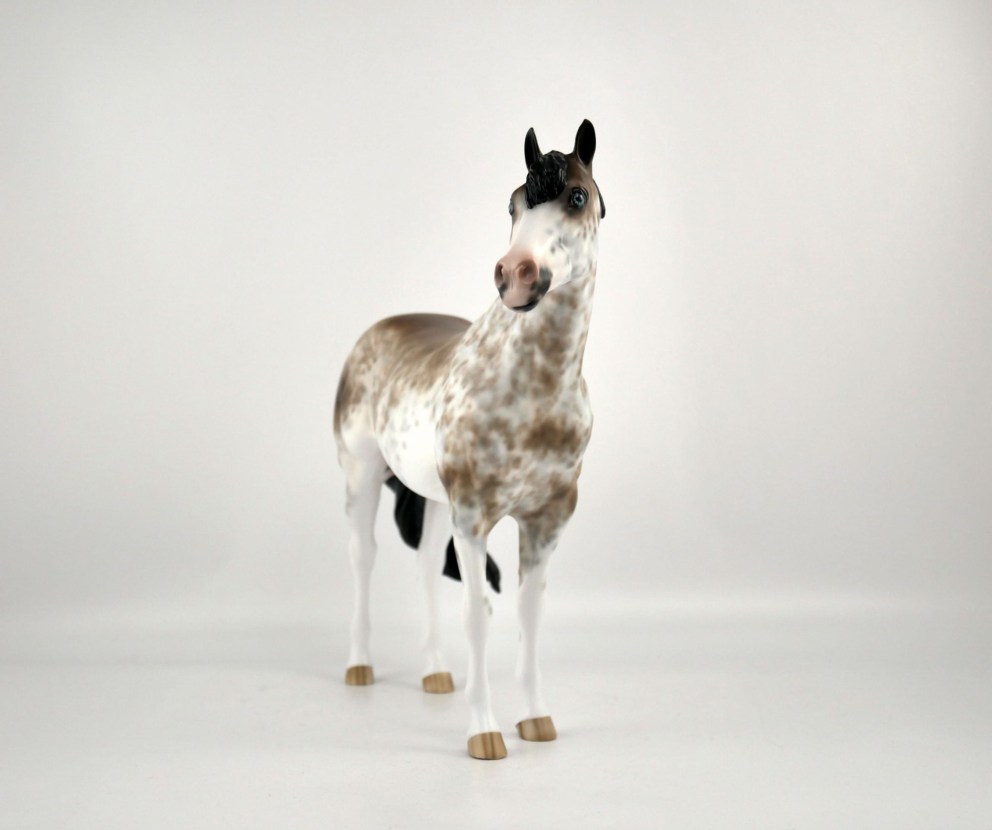 WILLEM-OOAK BAY SABINO ISH BY SHERYL LEISURE 12/03/20