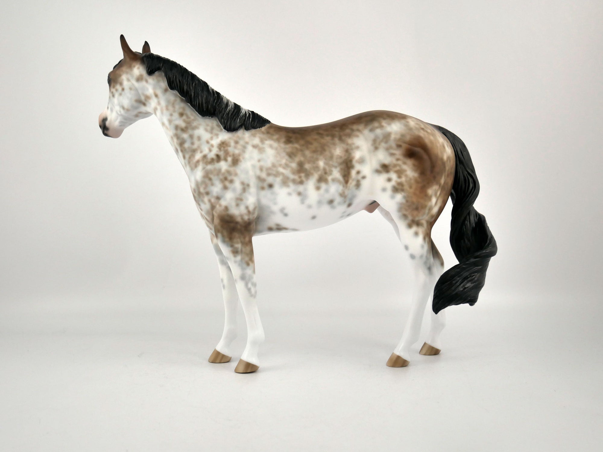 WILLEM-OOAK BAY SABINO ISH BY SHERYL LEISURE 12/03/20