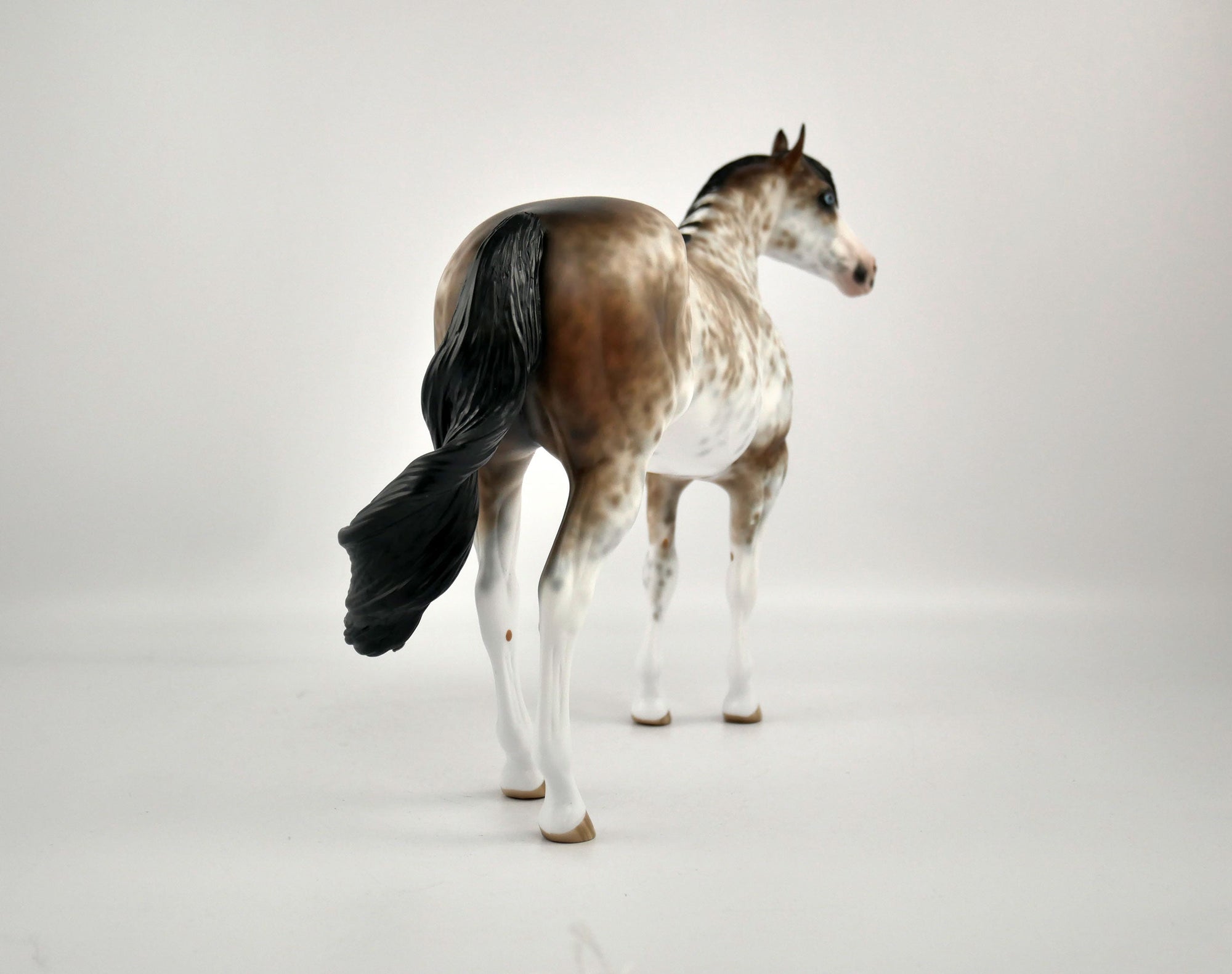 WILLEM-OOAK BAY SABINO ISH BY SHERYL LEISURE 12/03/20