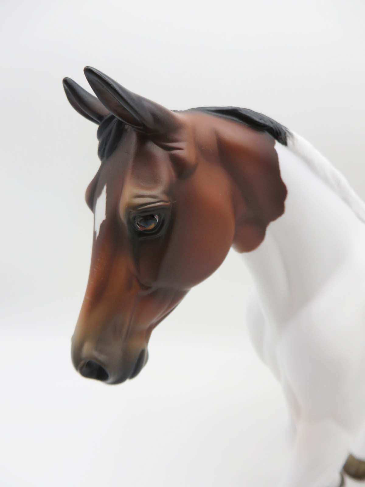 Wind River OOAK  Bay Tobiano Palouse By Jess Hamill SHCF23