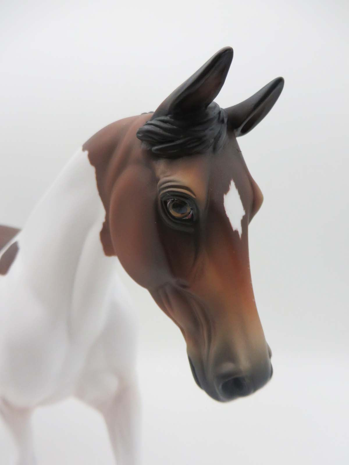 Wind River OOAK  Bay Tobiano Palouse By Jess Hamill SHCF23