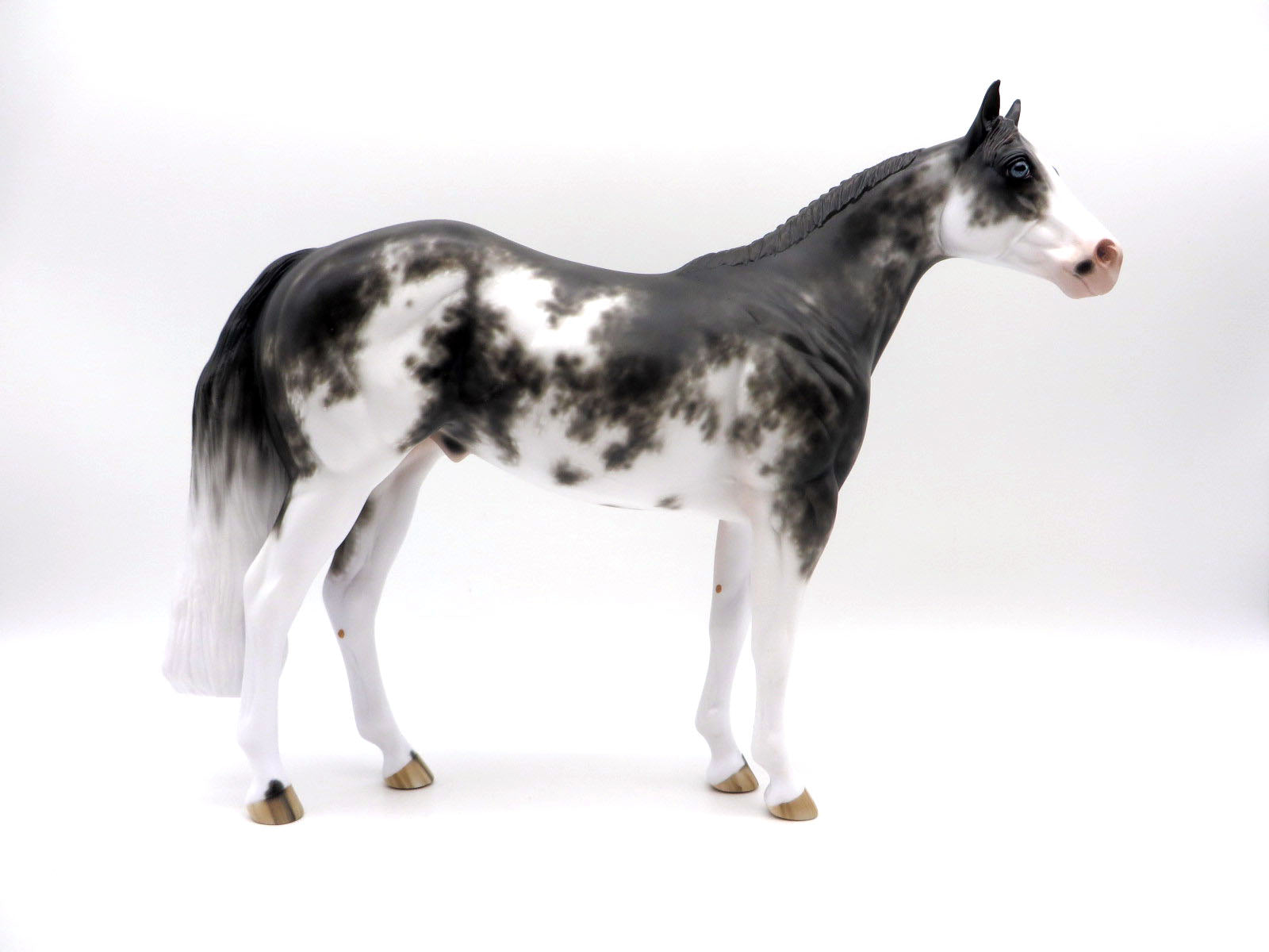 Wings of Steal-OOAK Black Sabino ISH by Sheryl Leisure 9/6/22