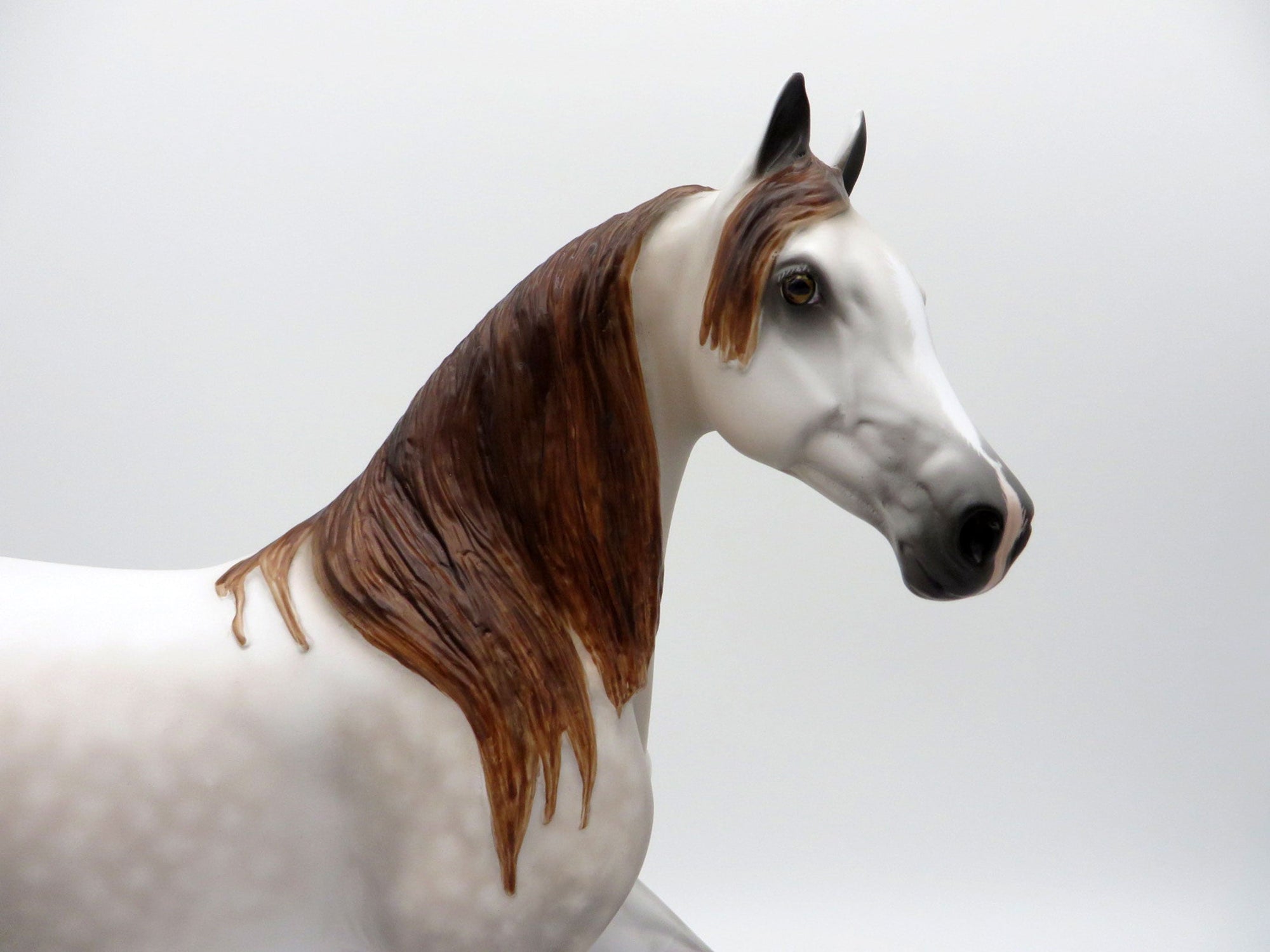 Wipe Out-OOAK Dapple Mulberry Grey Arabian Mare 4/26/21