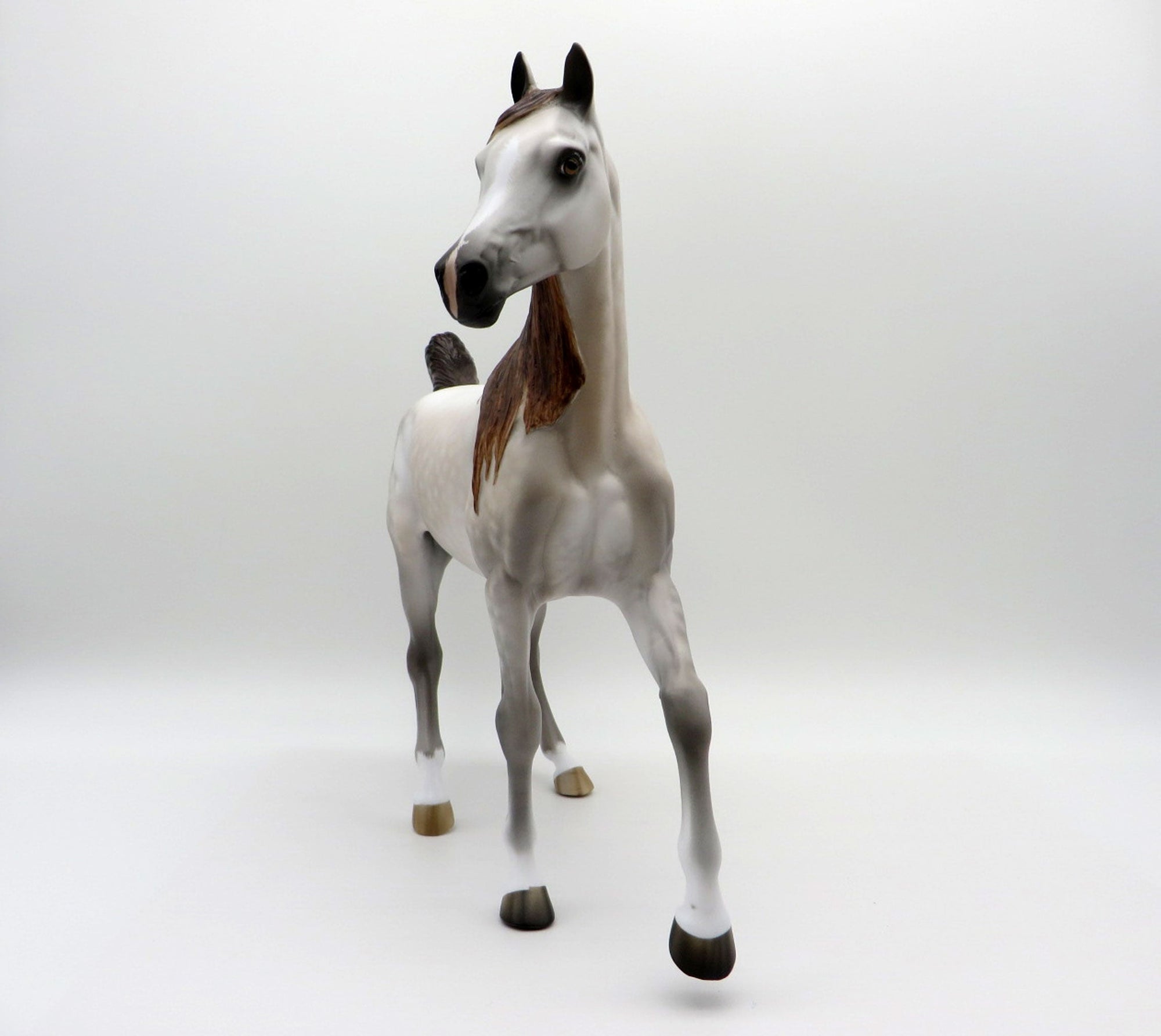 Wipe Out-OOAK Dapple Mulberry Grey Arabian Mare 4/26/21