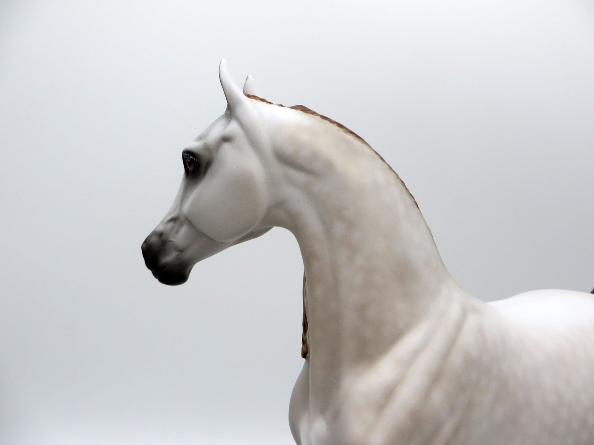 Wipe Out-OOAK Dapple Mulberry Grey Arabian Mare 4/26/21