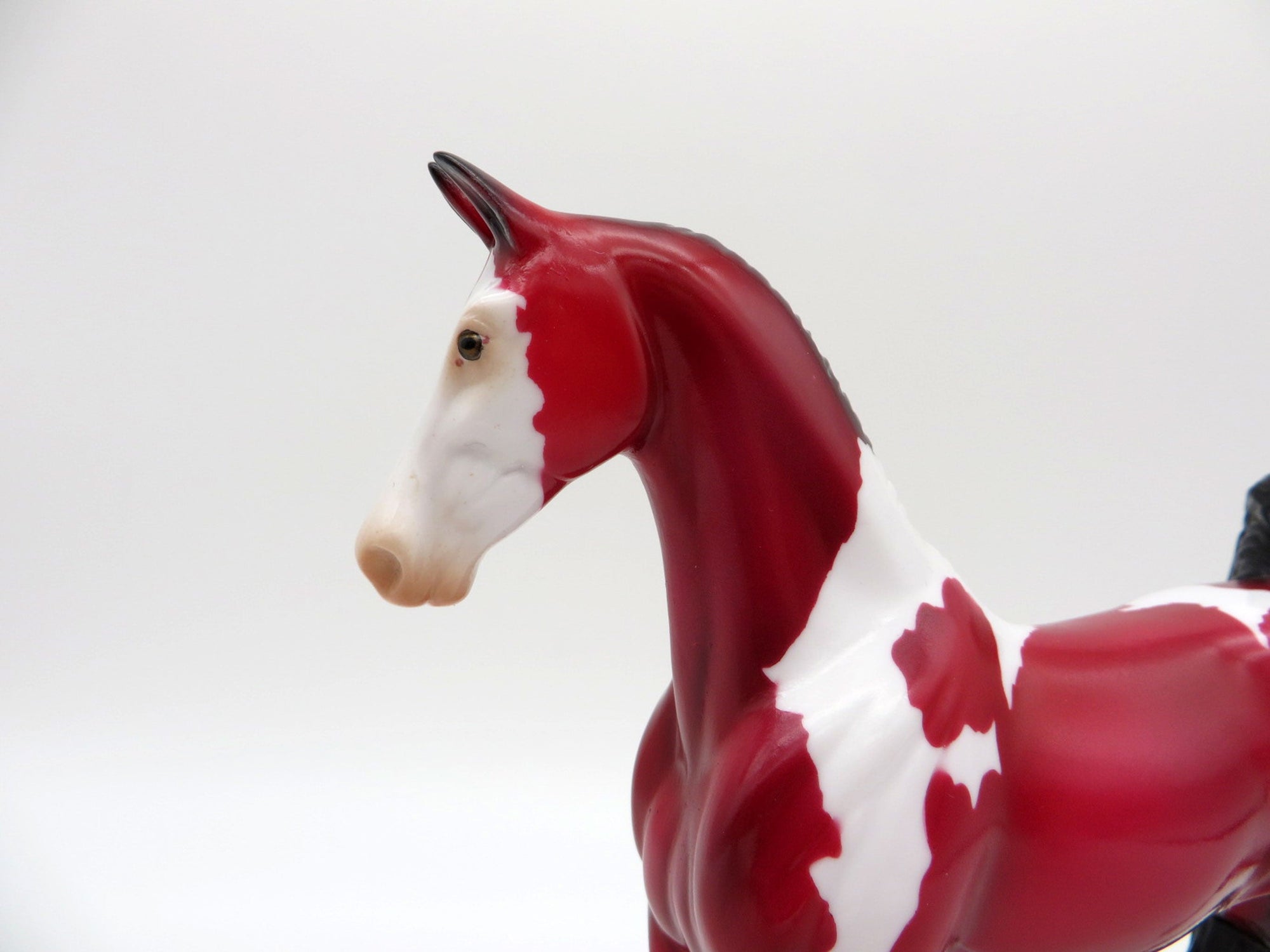 Wolfira-OOAK Saddlebred Precious Stone Painted By Ellen Robbins EQ 2021