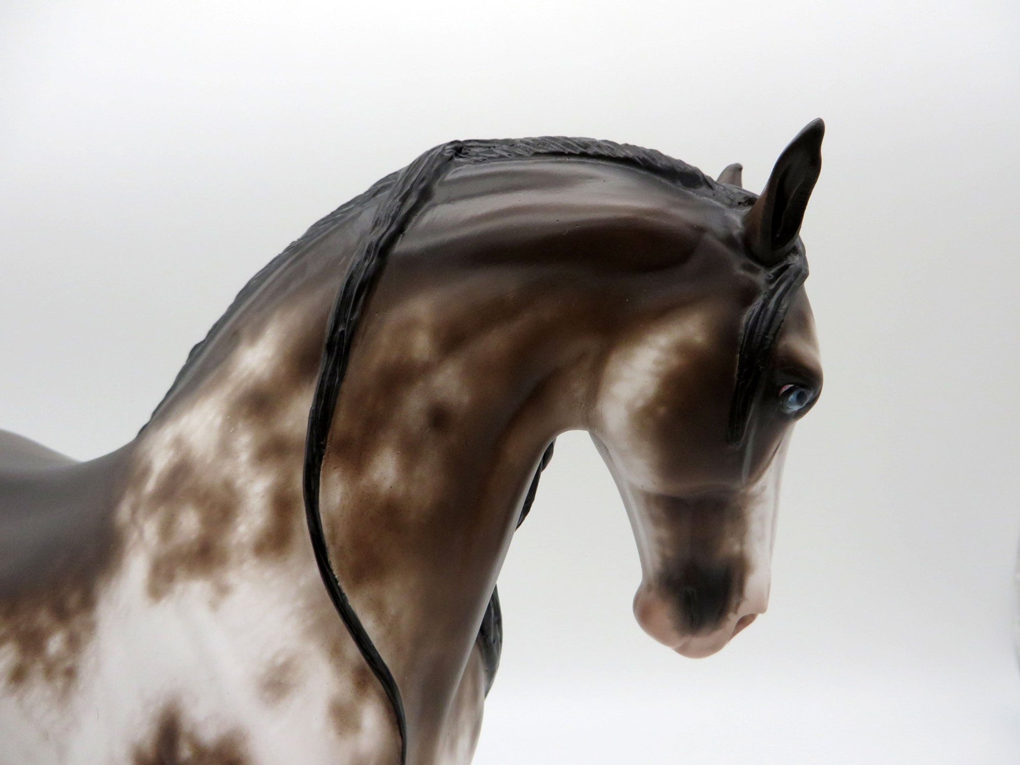 Wonder-OOAK Bay Sabino Andalusian Painted by Sheryl Leisure 11/22/21