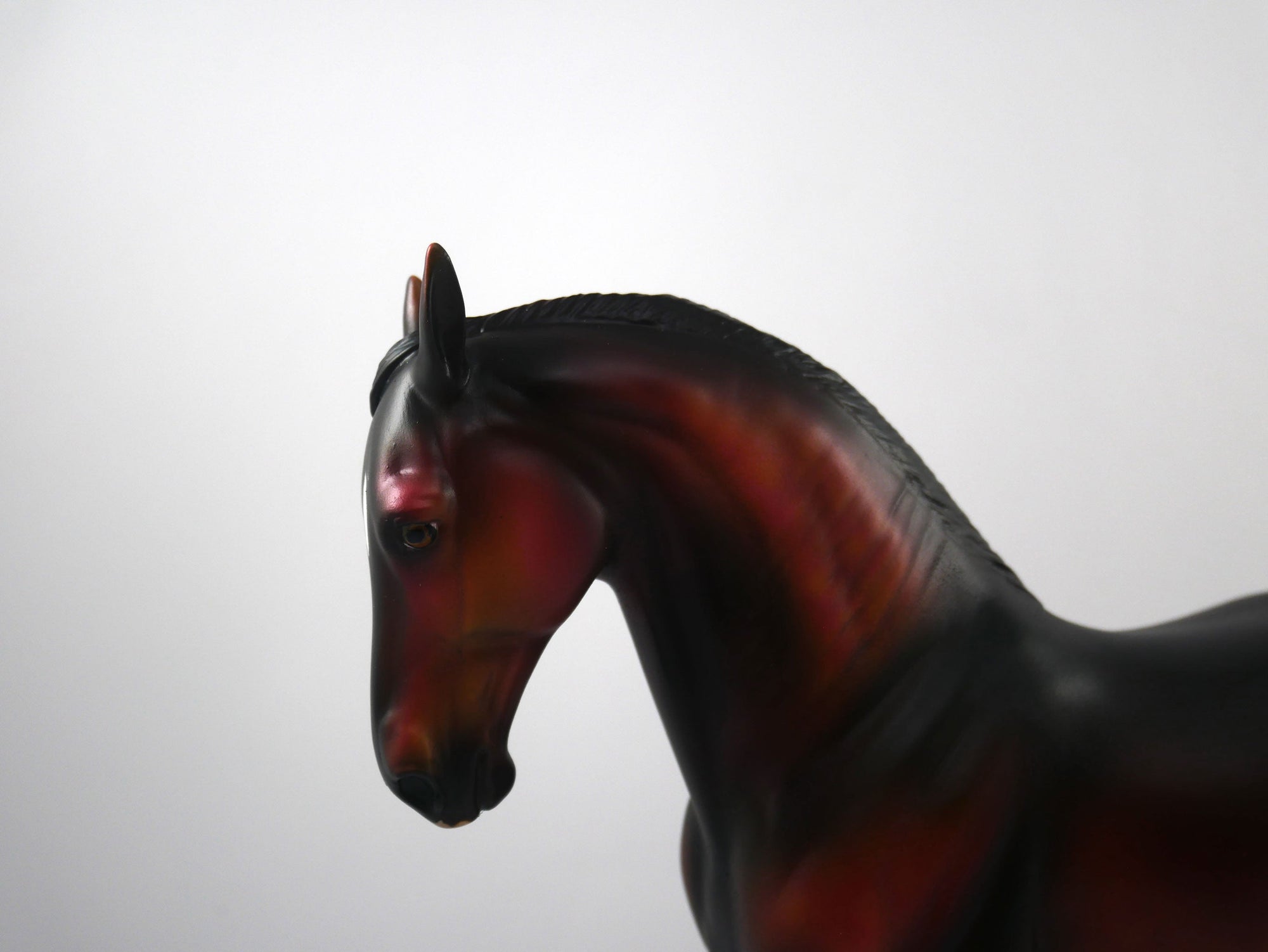 Woodson-OOAK Dapple Bay Andalusian SB 21