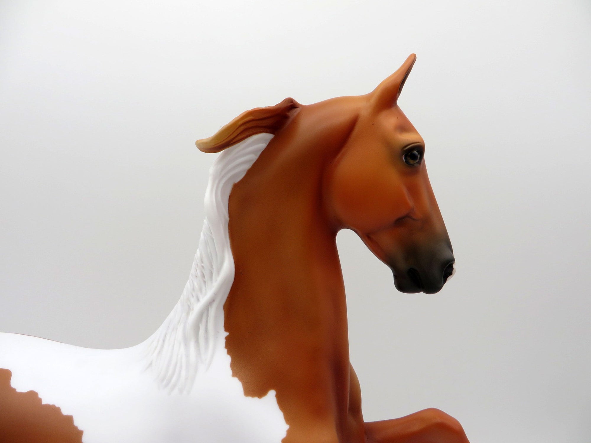 Wordsworth-OOAK Bay Pinto Saddlebred Painted By  Ellen Robbins EQ 2021