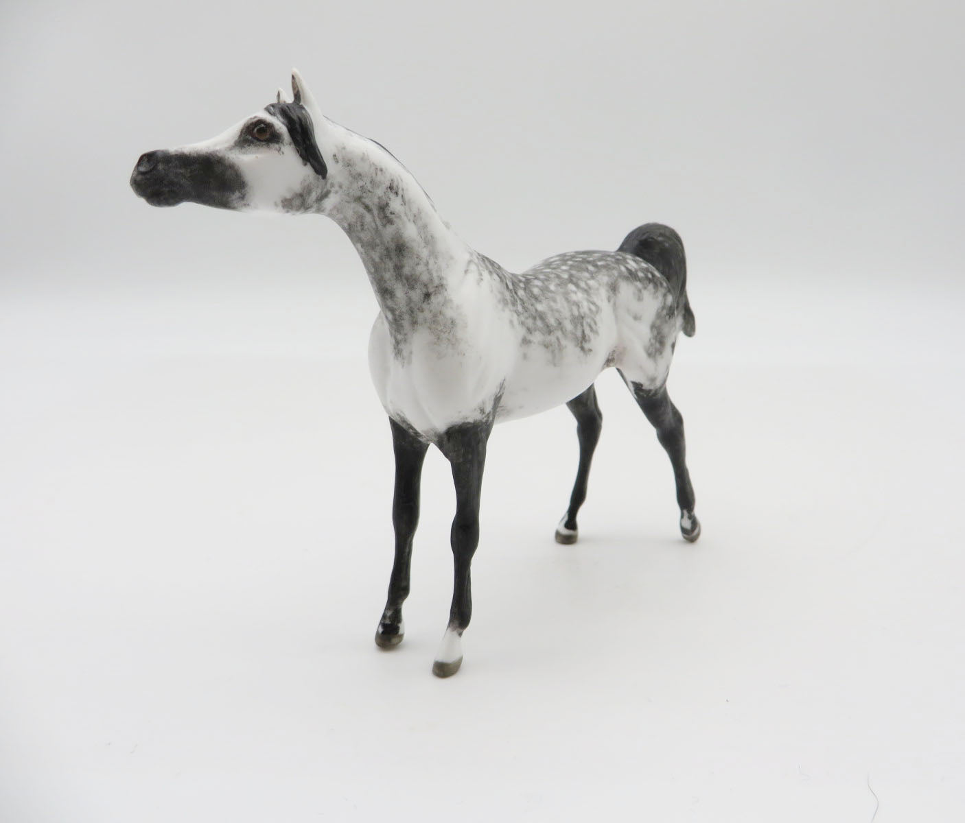 WRANGELL - OOAK Dapple Grey Arabian Chip LHS 22