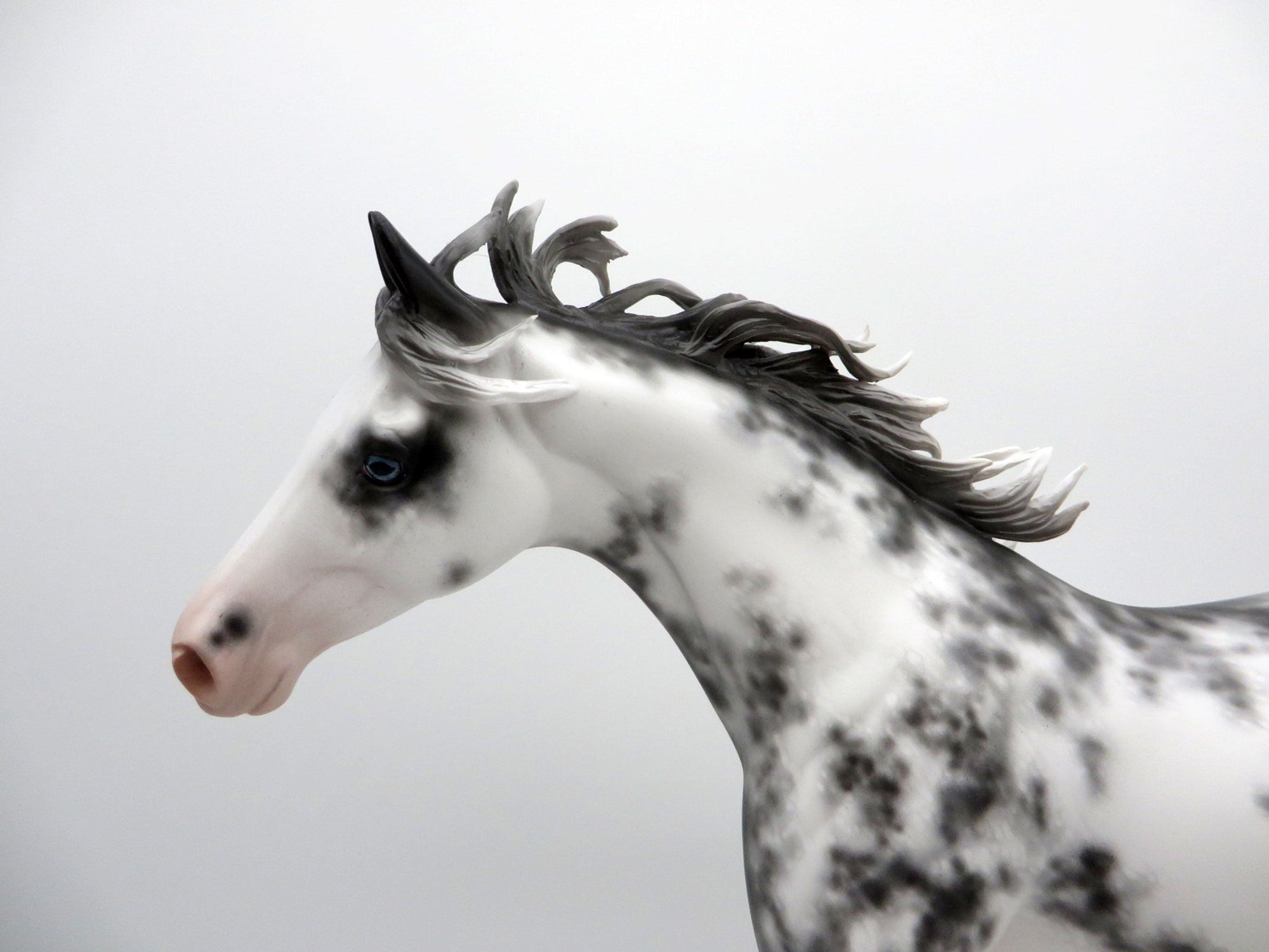 Wychell-OOAK Sabino Pony Painted by Sheryl Leisure 3/15/21