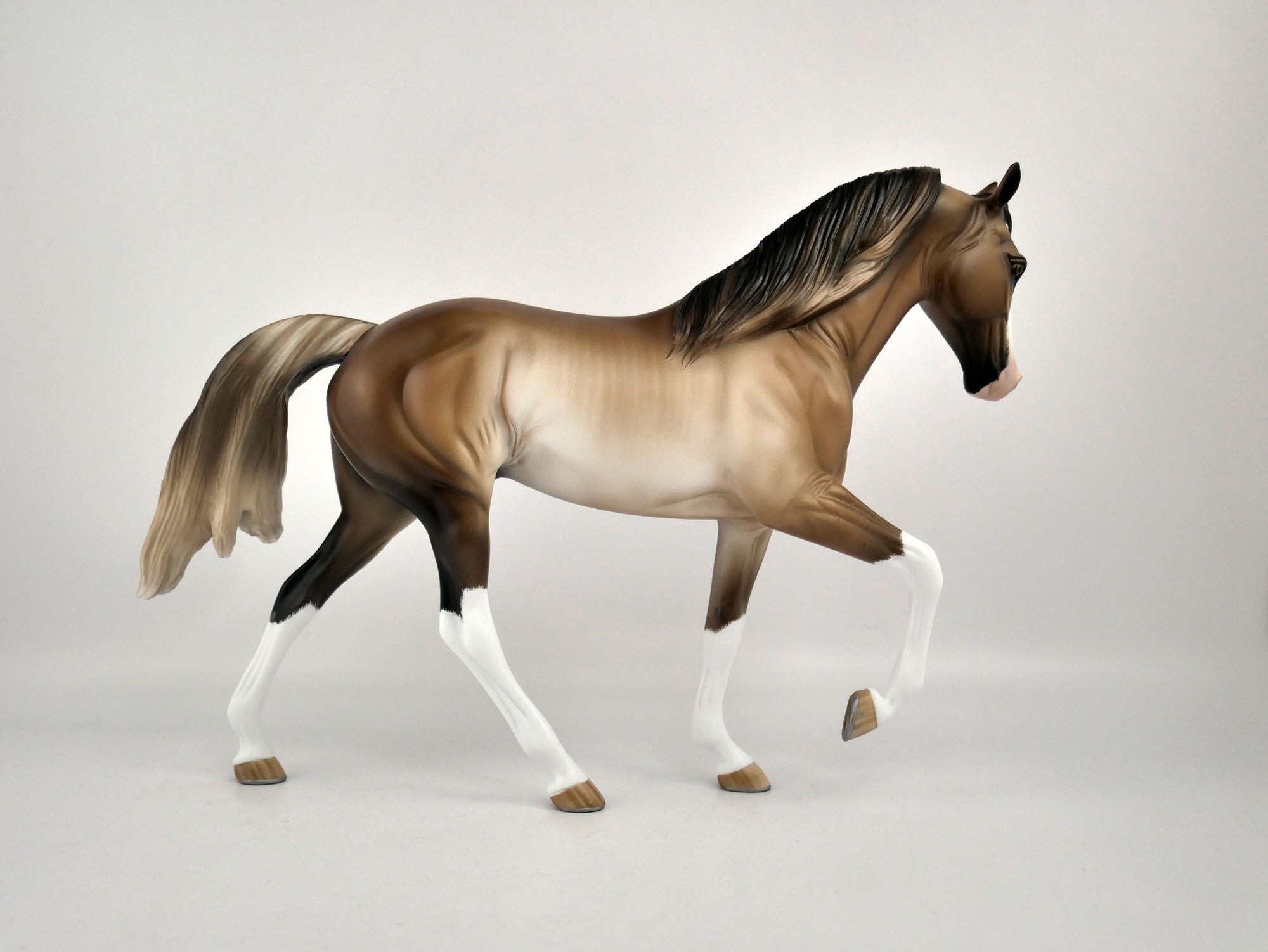 XAVIER -OOAK BAY RABICANO TWH BY SHERYL LEISURE 12/03/20
