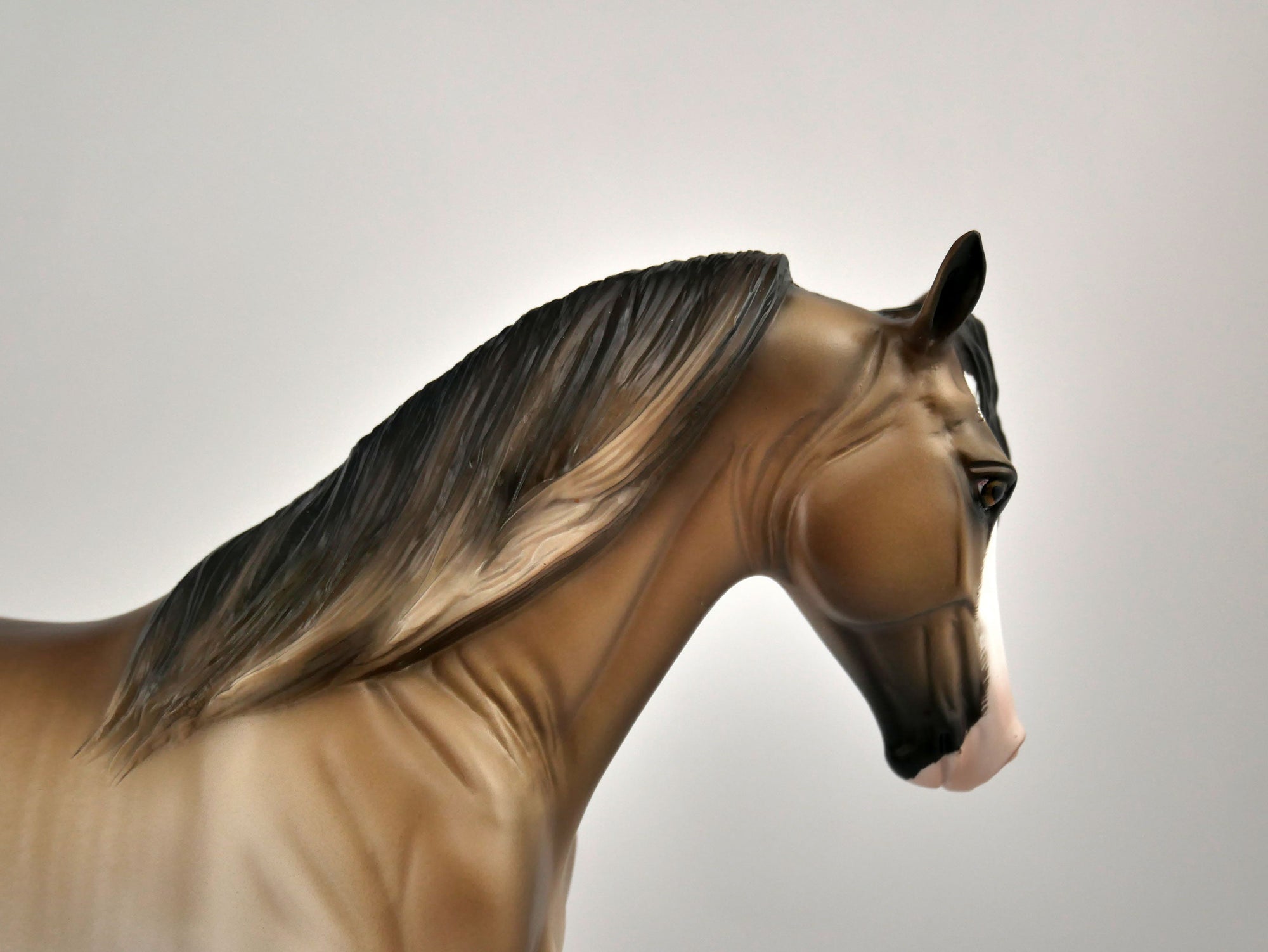 XAVIER -OOAK BAY RABICANO TWH BY SHERYL LEISURE 12/03/20