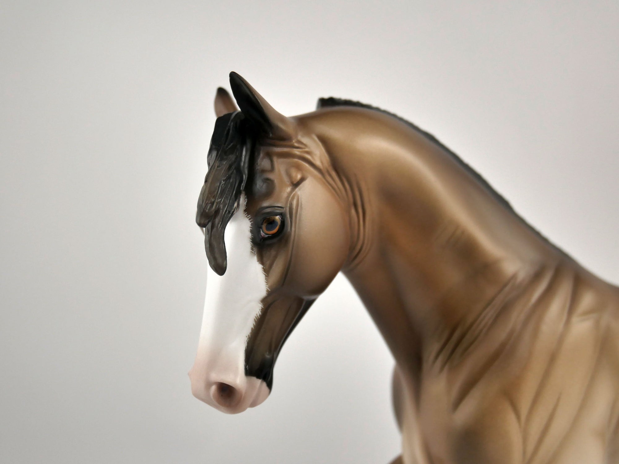 XAVIER -OOAK BAY RABICANO TWH BY SHERYL LEISURE 12/03/20