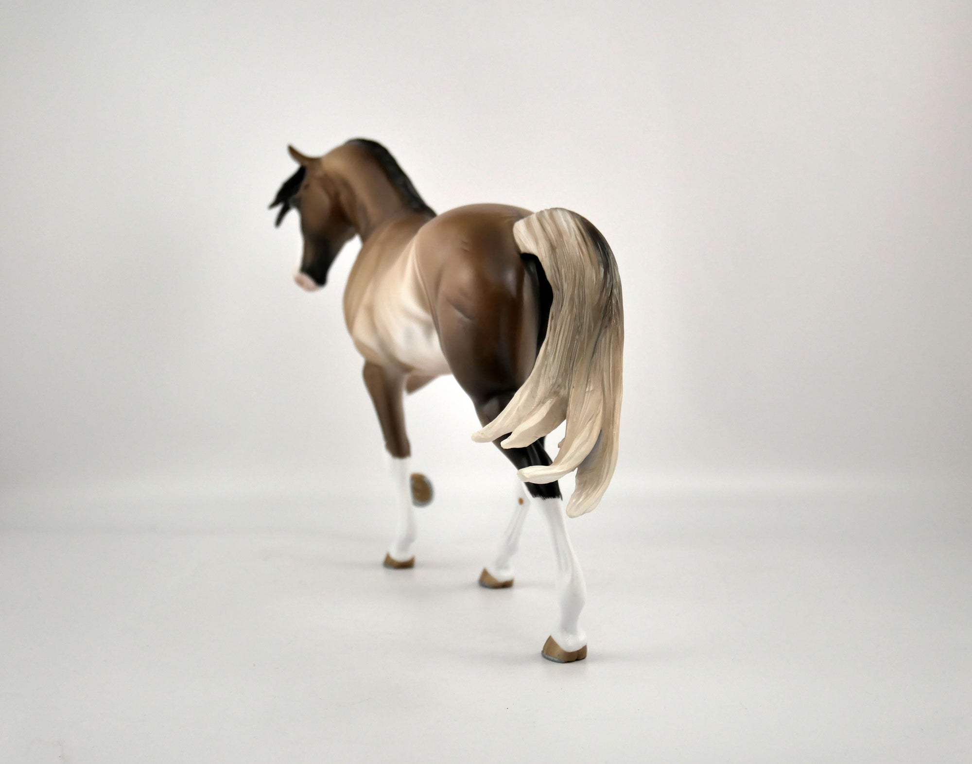 XAVIER -OOAK BAY RABICANO TWH BY SHERYL LEISURE 12/03/20