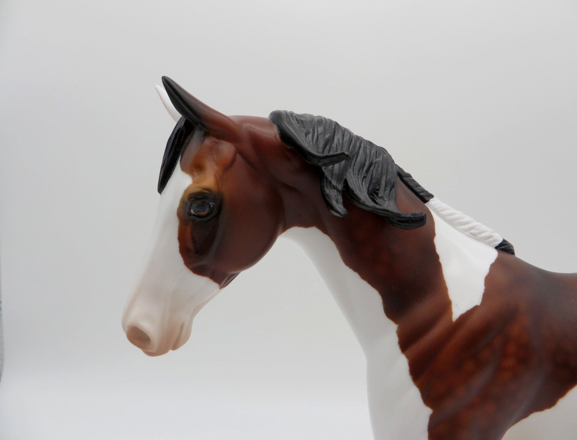 Yarrow-OOAK Bay Splash Pony  SHCF 2021