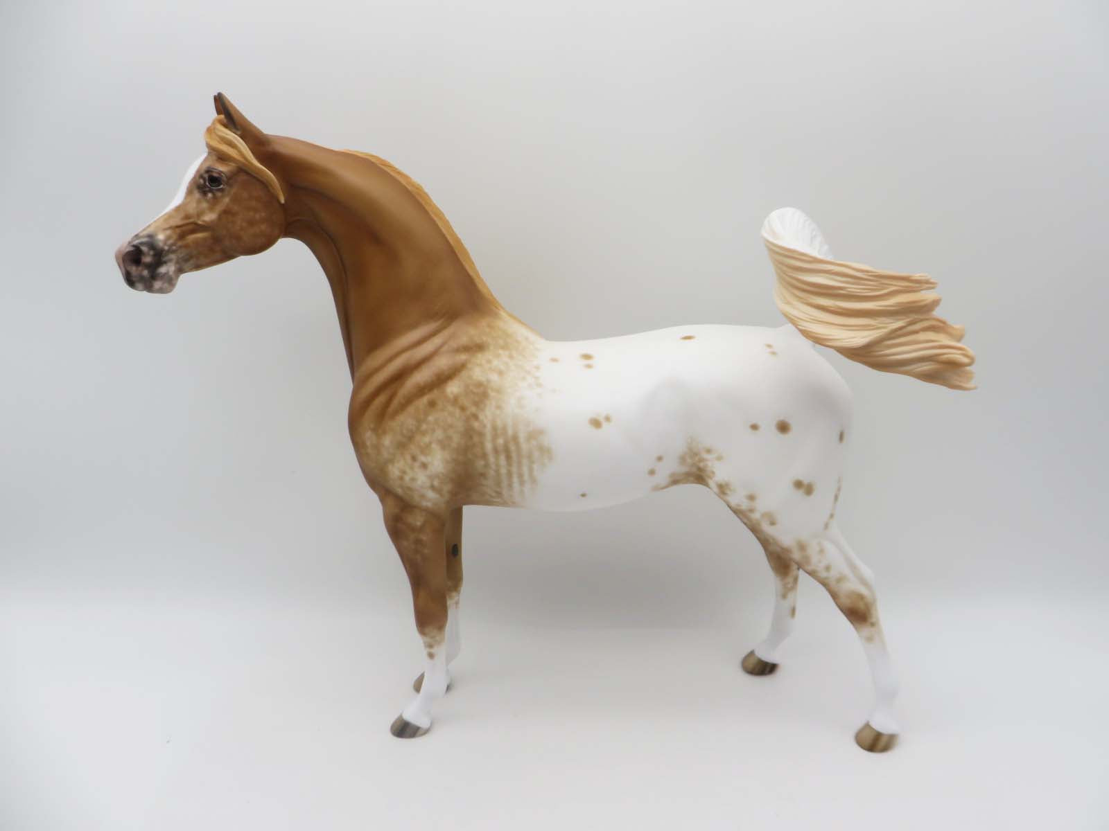 Yavapi-OOAK Chestnut Appaloosa Arabian Stallion by Sheryl Leisure-Best Offer 4/24/23