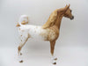 Yavapi-OOAK Chestnut Appaloosa Arabian Stallion by Sheryl Leisure-Best Offer 4/24/23