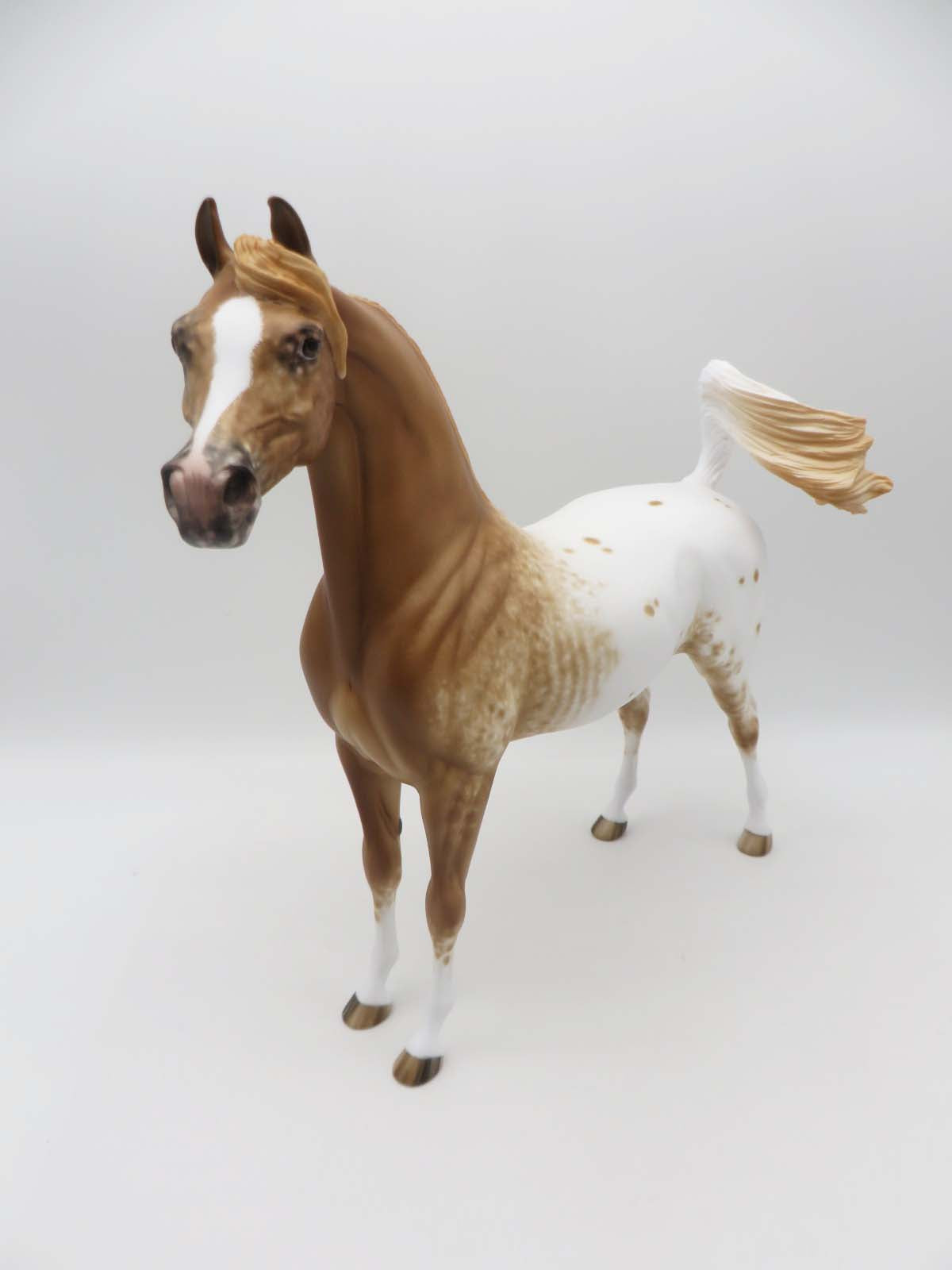 Yavapi-OOAK Chestnut Appaloosa Arabian Stallion by Sheryl Leisure-Best Offer 4/24/23