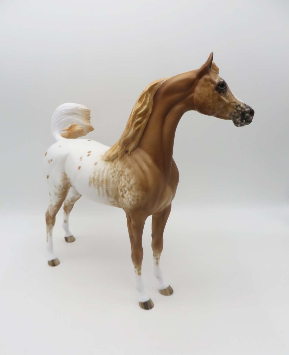 Yavapi-OOAK Chestnut Appaloosa Arabian Stallion by Sheryl Leisure-Best Offer 4/24/23