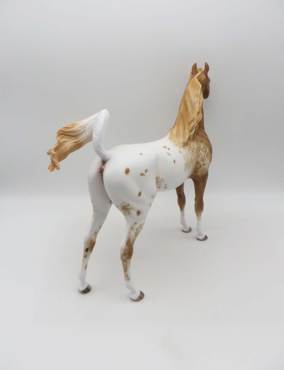 Yavapi-OOAK Chestnut Appaloosa Arabian Stallion by Sheryl Leisure-Best Offer 4/24/23