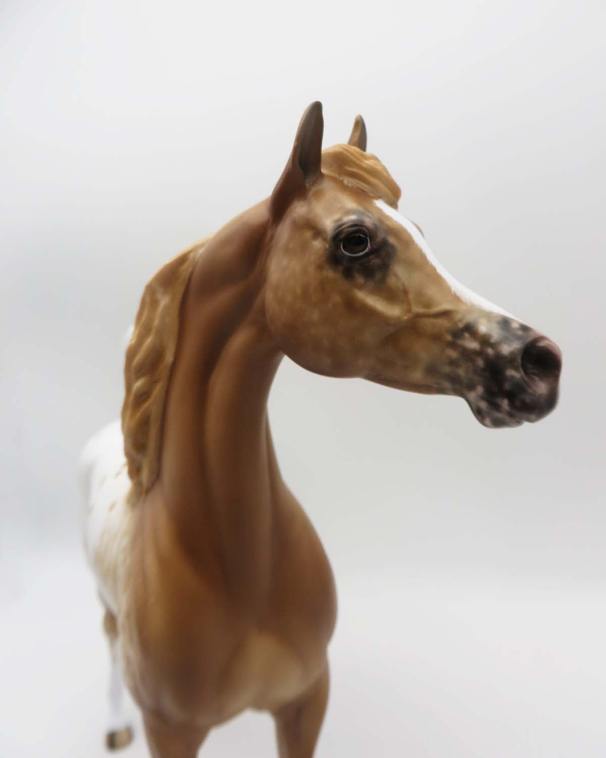 Yavapi-OOAK Chestnut Appaloosa Arabian Stallion by Sheryl Leisure-Best Offer 4/24/23