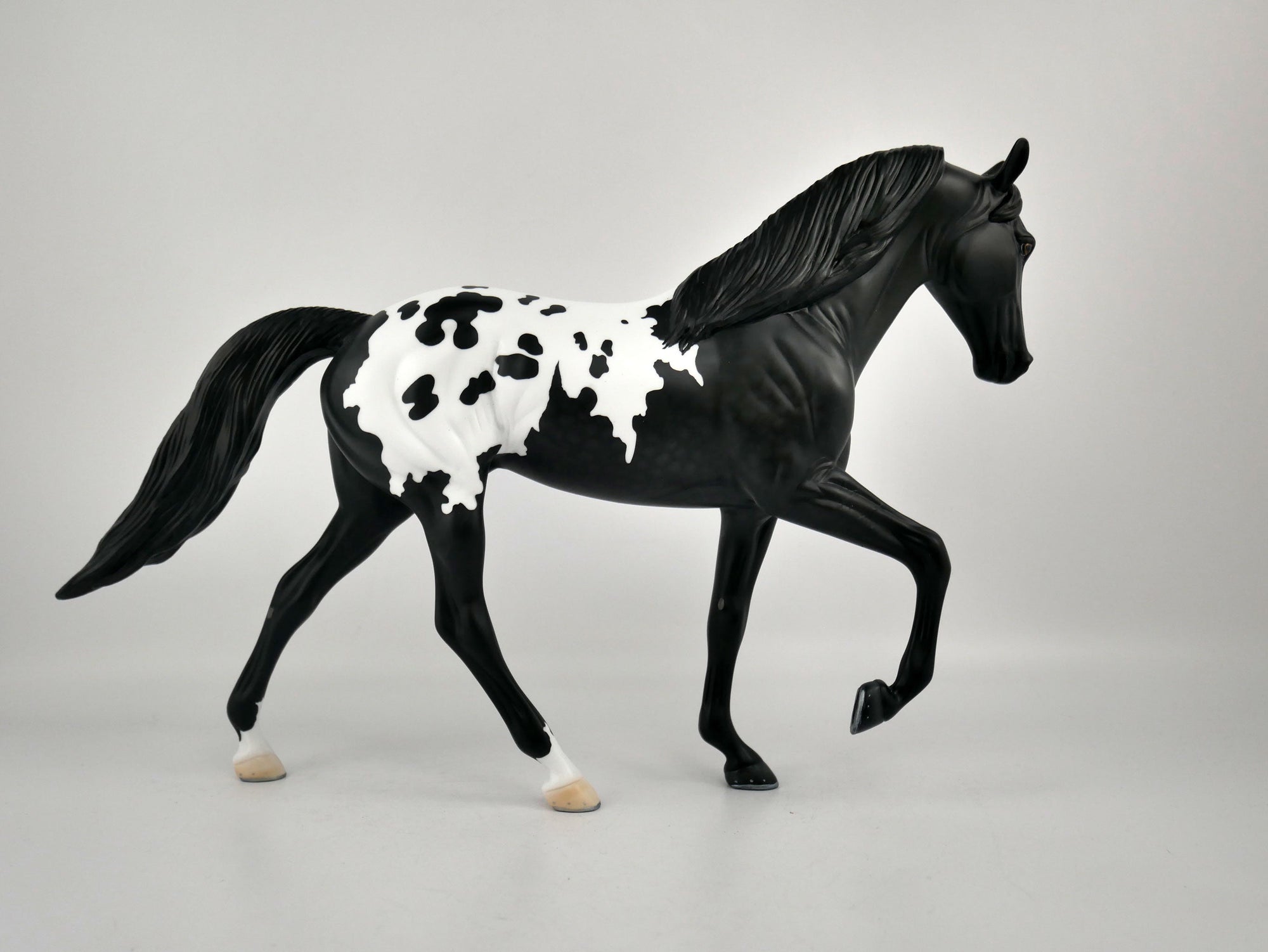 YIN YANG-OOAK BLACK BLANKET APPALOOSA TENNESSEE WALKER BY ELLEN ROBBINS 12/09/20