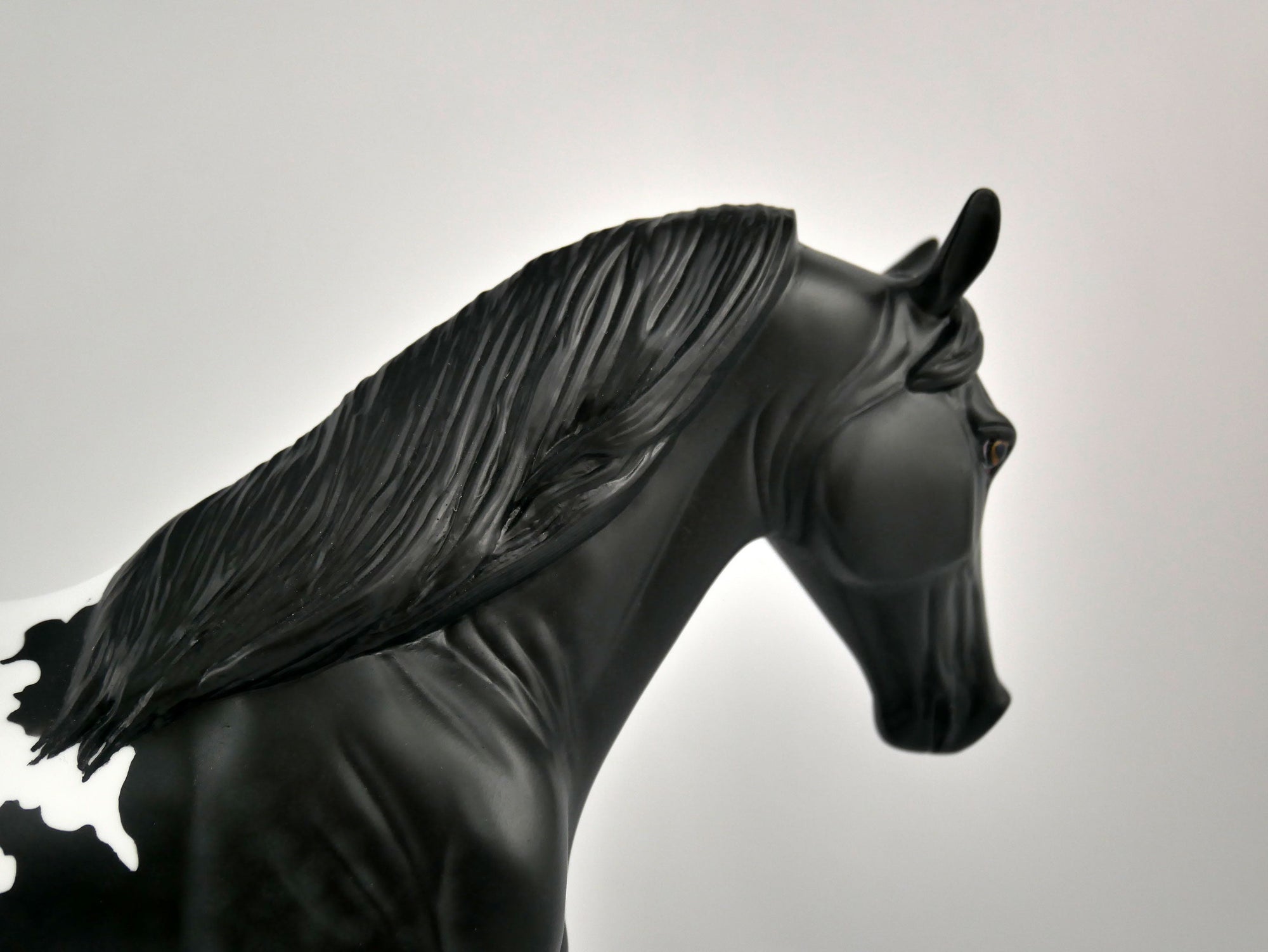 YIN YANG-OOAK BLACK BLANKET APPALOOSA TENNESSEE WALKER BY ELLEN ROBBINS 12/09/20