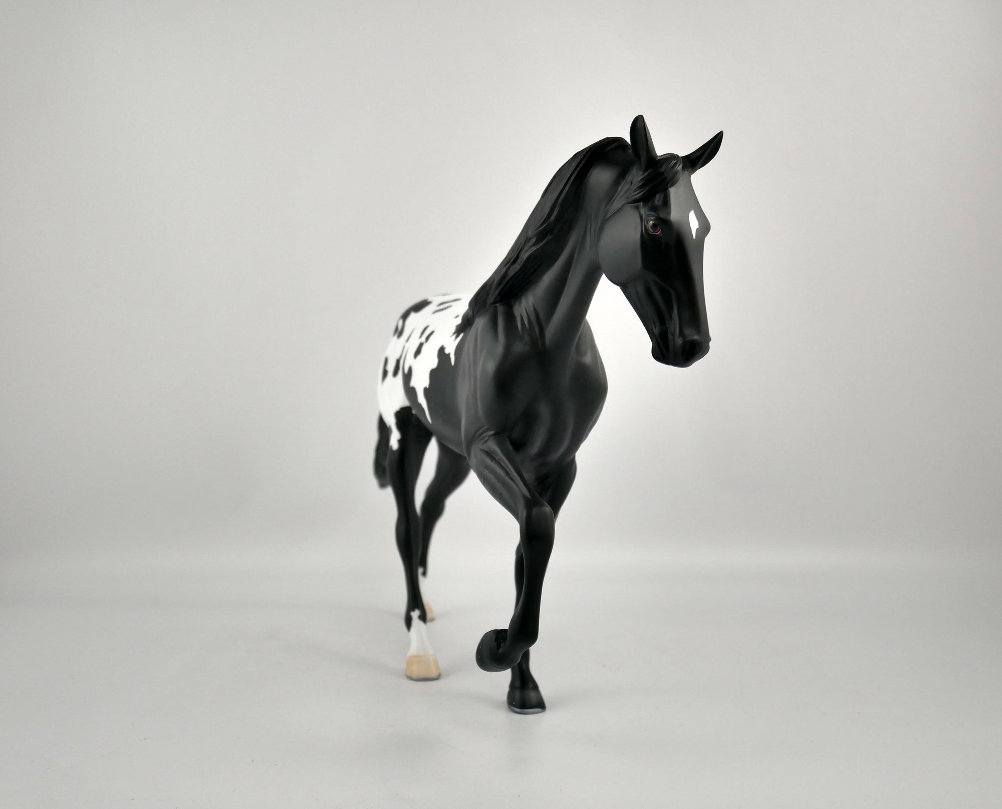 YIN YANG-OOAK BLACK BLANKET APPALOOSA TENNESSEE WALKER BY ELLEN ROBBINS 12/09/20