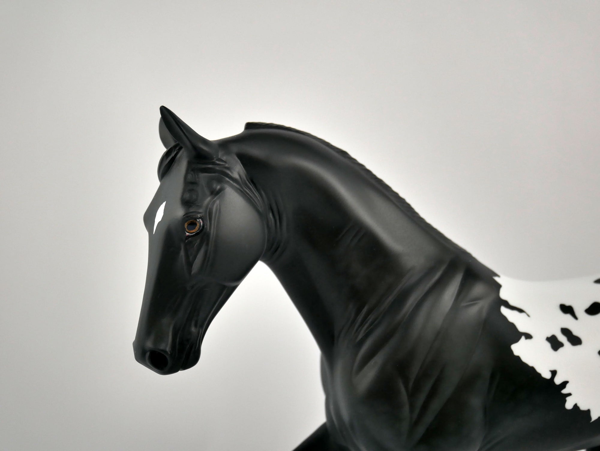 YIN YANG-OOAK BLACK BLANKET APPALOOSA TENNESSEE WALKER BY ELLEN ROBBINS 12/09/20