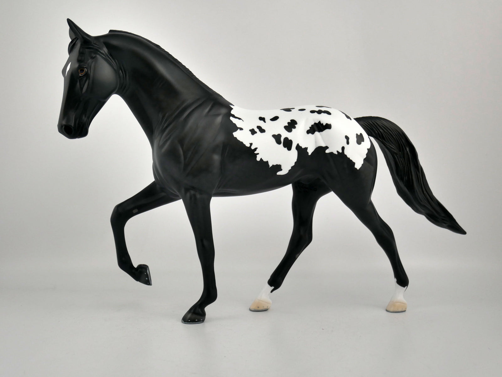 YIN YANG-OOAK BLACK BLANKET APPALOOSA TENNESSEE WALKER BY ELLEN ROBBINS 12/09/20