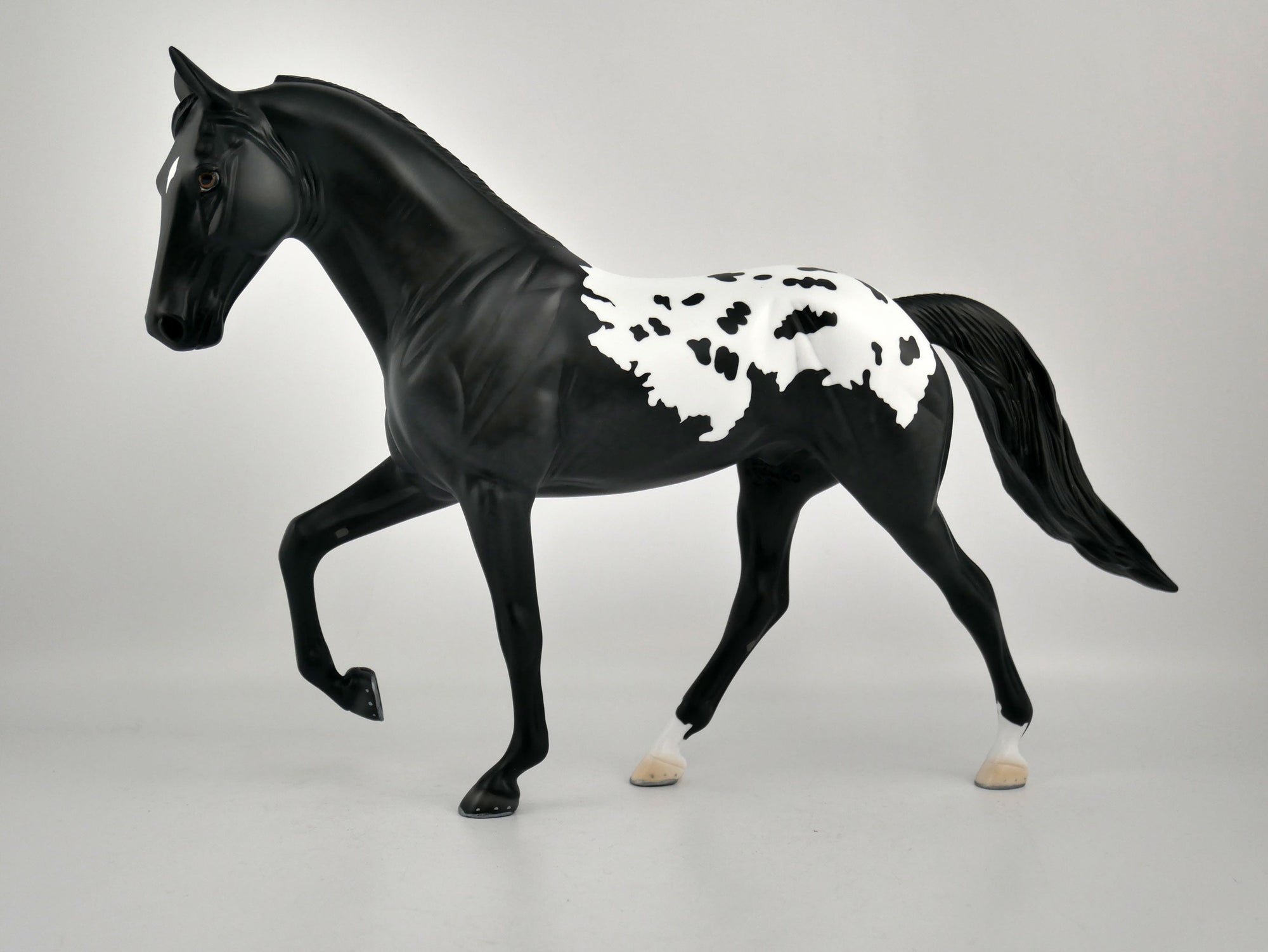 YIN YANG-OOAK BLACK BLANKET APPALOOSA TENNESSEE WALKER BY ELLEN ROBBINS 12/09/20