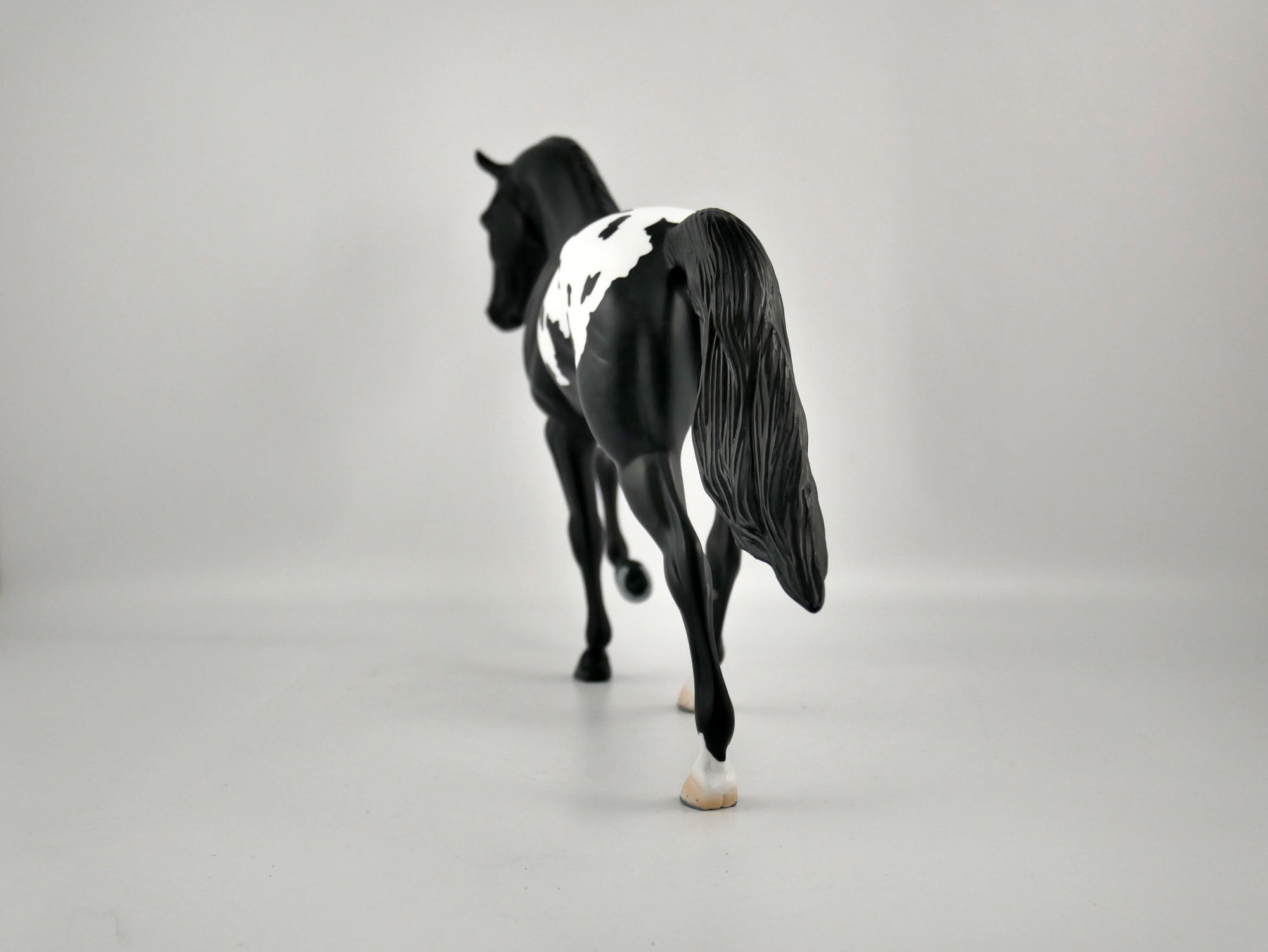 YIN YANG-OOAK BLACK BLANKET APPALOOSA TENNESSEE WALKER BY ELLEN ROBBINS 12/09/20