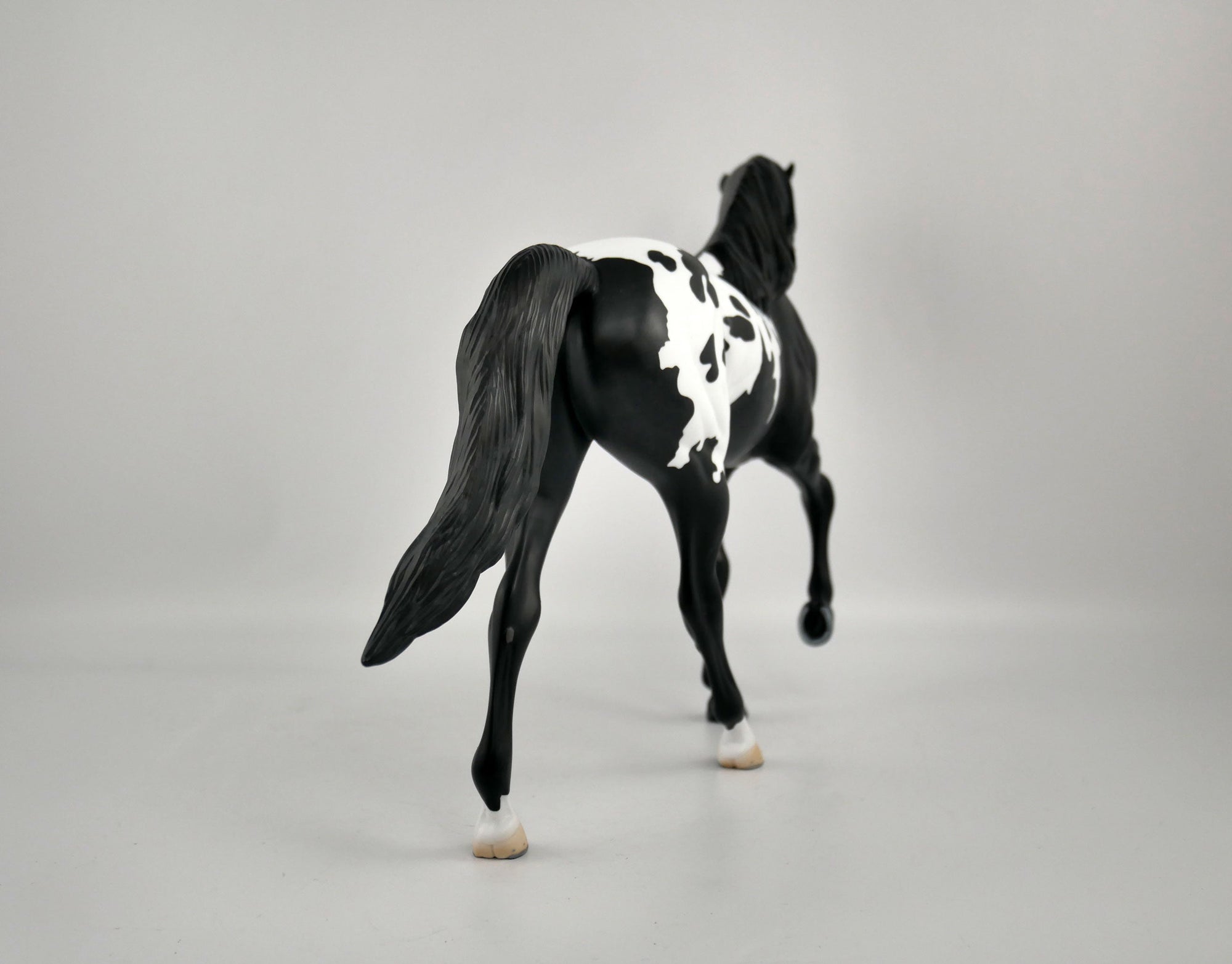 YIN YANG-OOAK BLACK BLANKET APPALOOSA TENNESSEE WALKER BY ELLEN ROBBINS 12/09/20