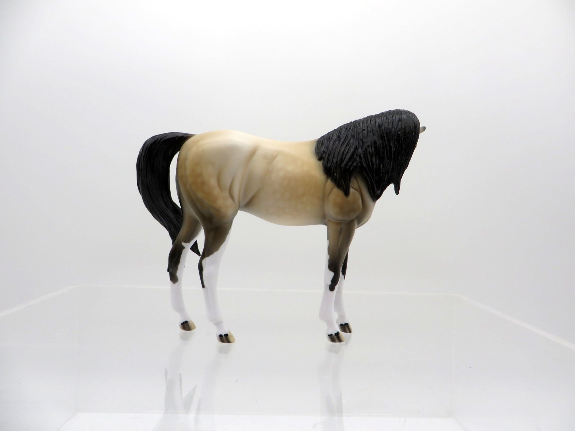 Yuki-OOAK Buckskin Paint Arabian Pebbles  SHCF 2021