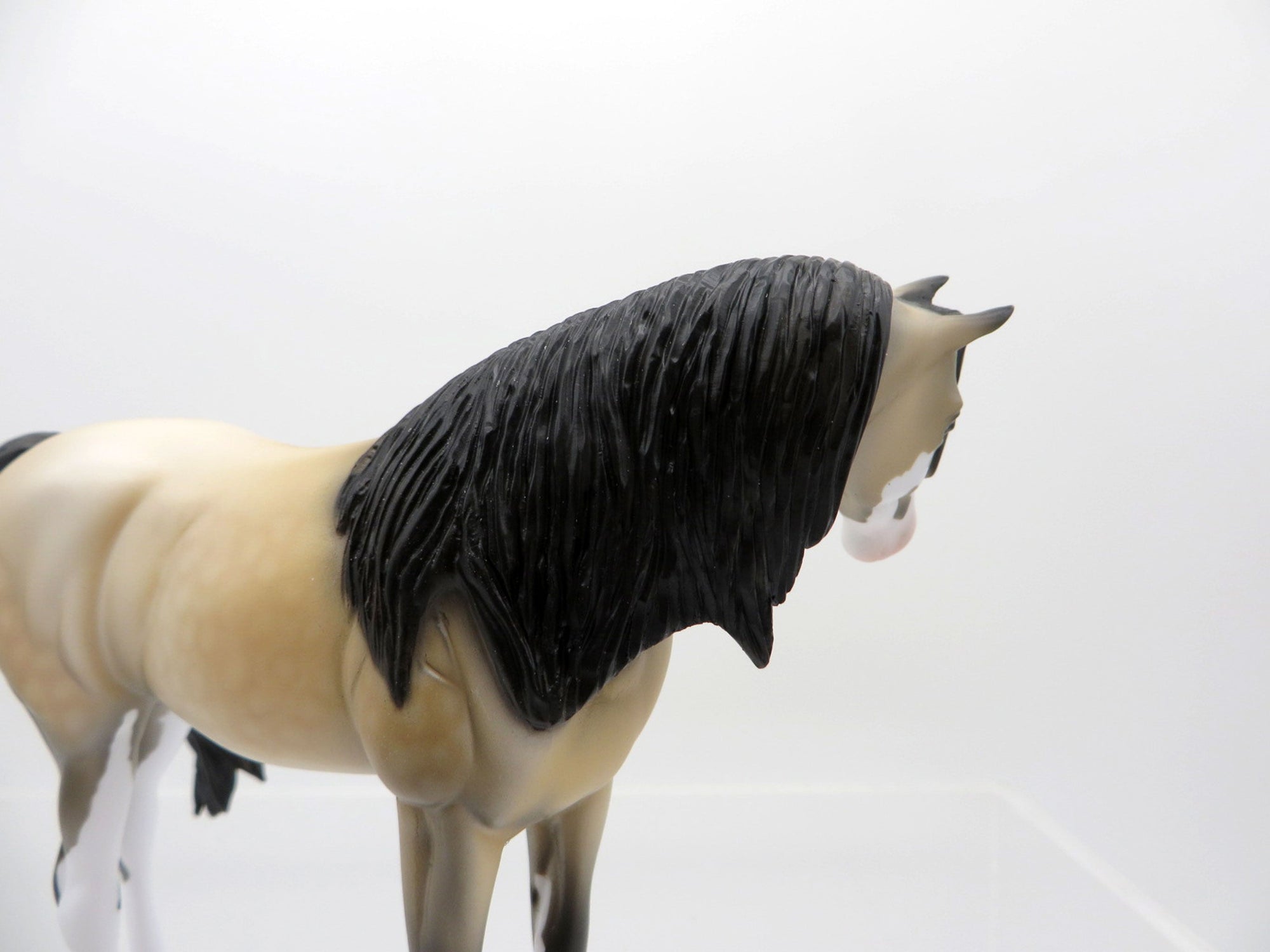 Yuki-OOAK Buckskin Paint Arabian Pebbles  SHCF 2021