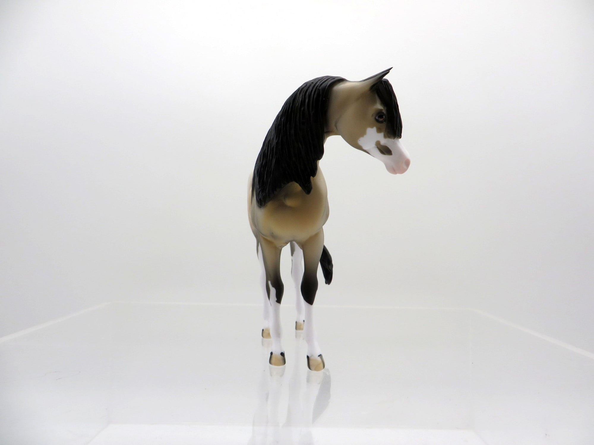 Yuki-OOAK Buckskin Paint Arabian Pebbles  SHCF 2021