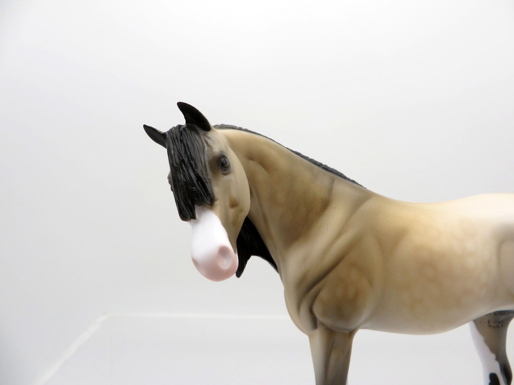 Yuki-OOAK Buckskin Paint Arabian Pebbles  SHCF 2021