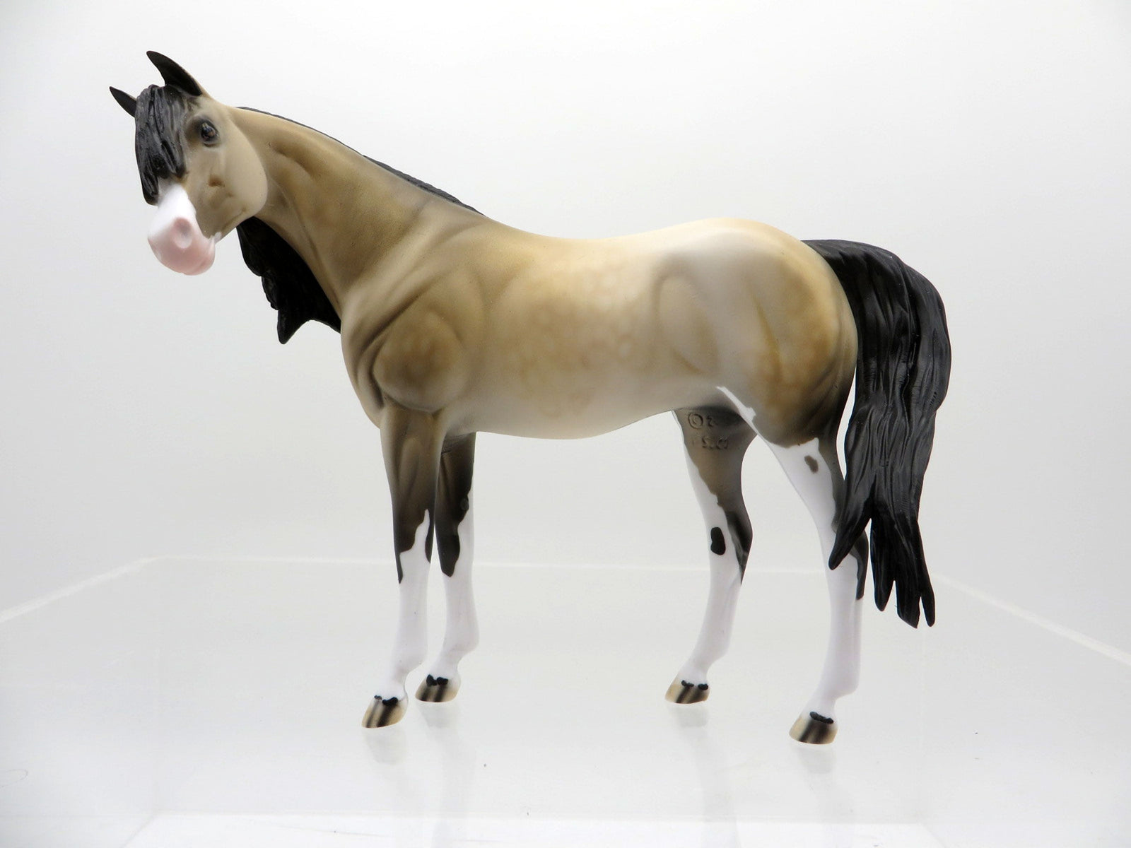 Yuki-OOAK Buckskin Paint Arabian Pebbles  SHCF 2021