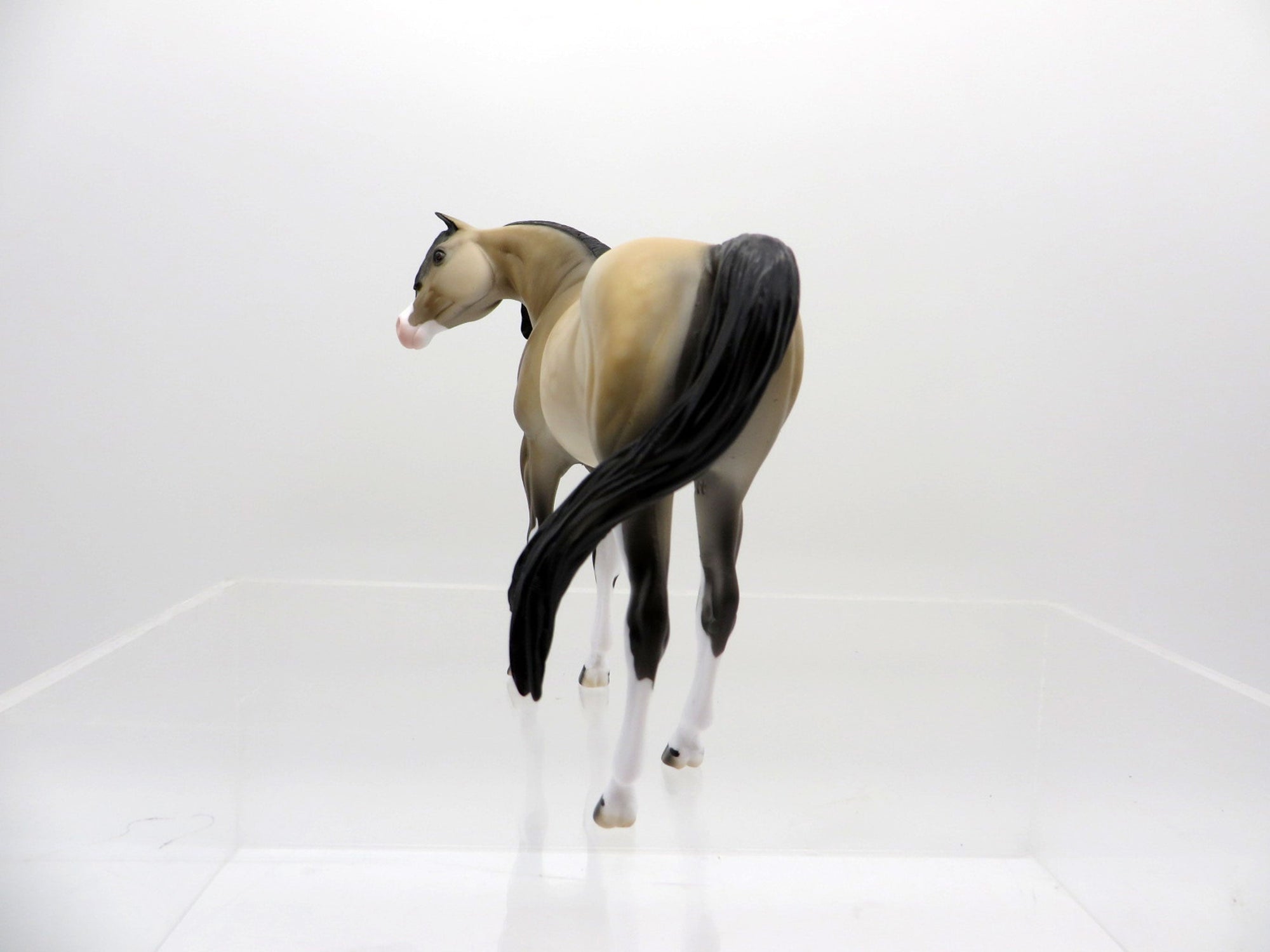 Yuki-OOAK Buckskin Paint Arabian Pebbles  SHCF 2021