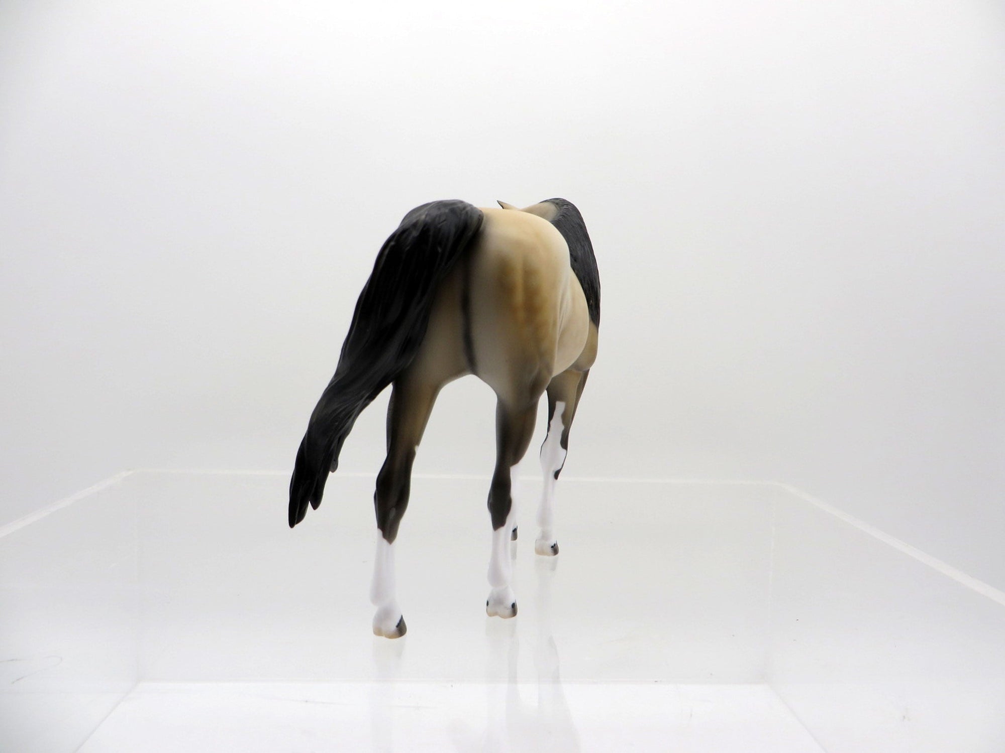 Yuki-OOAK Buckskin Paint Arabian Pebbles  SHCF 2021