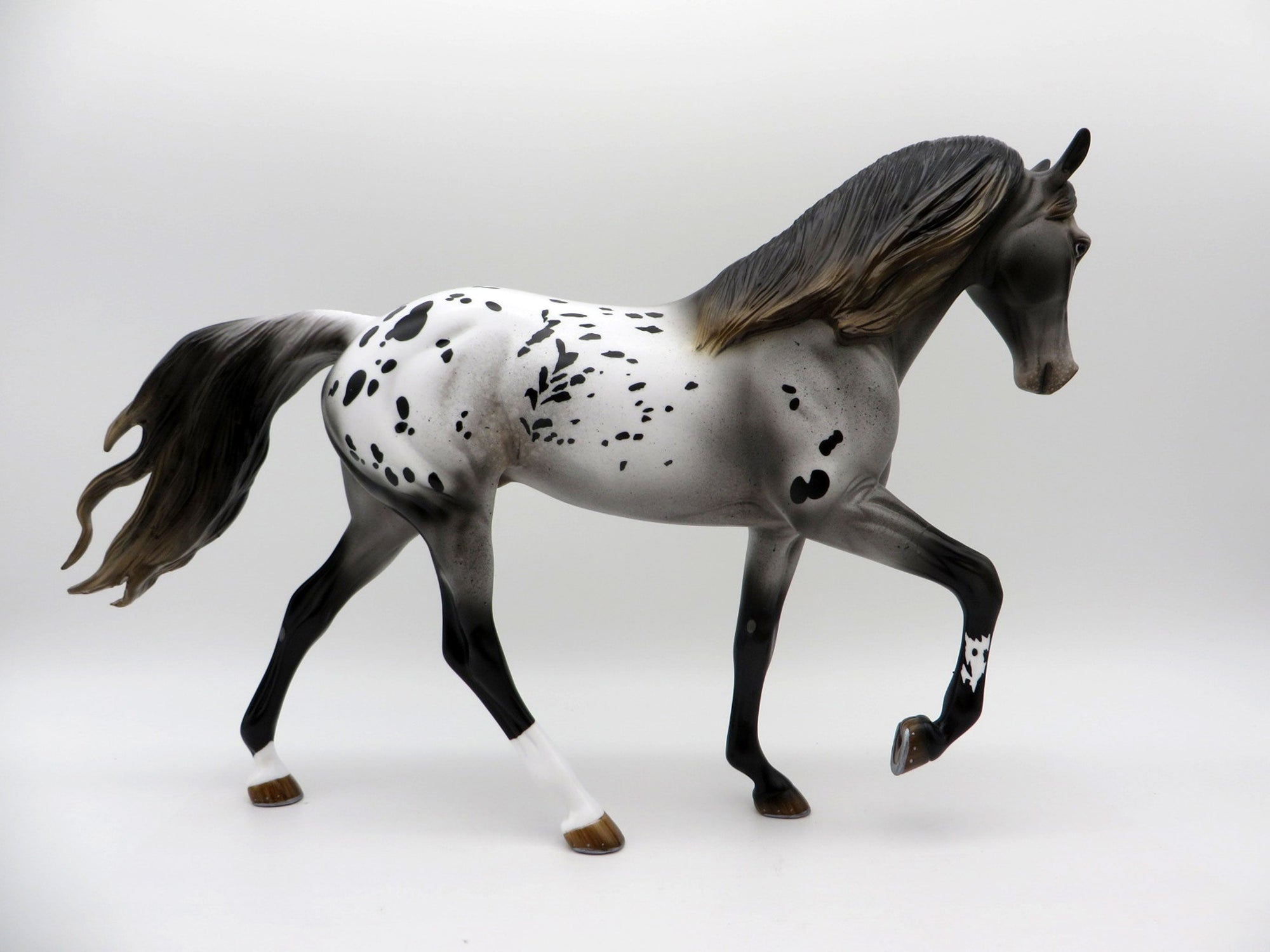 Zadie-Appaloosa Tennessee Walker Horse Painted By Audrey Dixon EQ 21