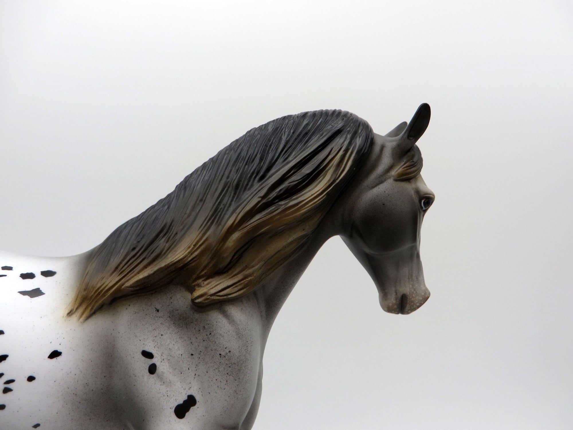 Zadie-Appaloosa Tennessee Walker Horse Painted By Audrey Dixon EQ 21