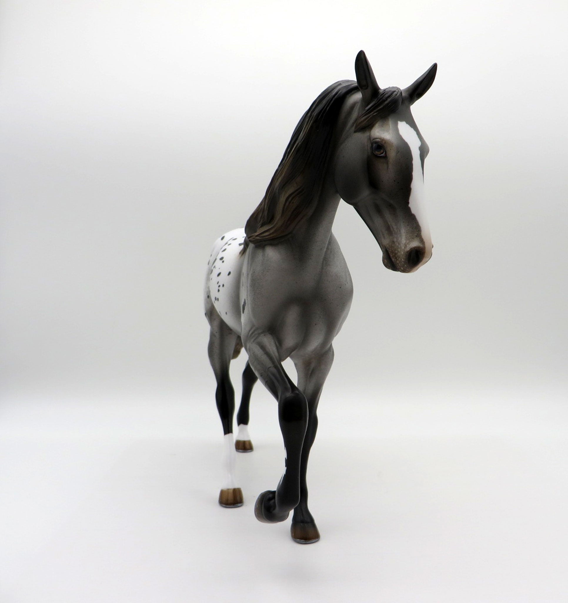 Zadie-Appaloosa Tennessee Walker Horse Painted By Audrey Dixon EQ 21